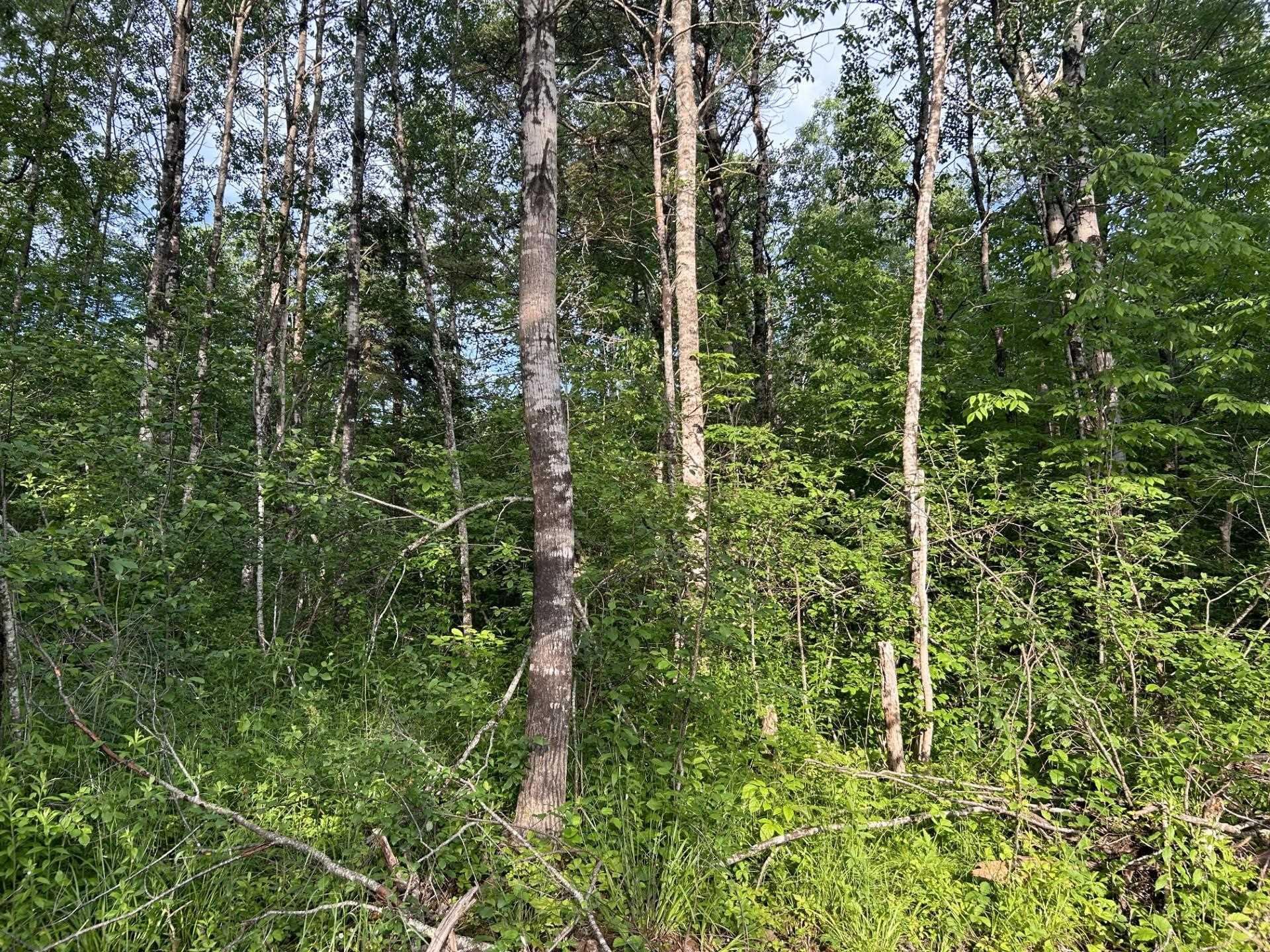 $69,000.00: Lot K1 Greenfield Road, Greenfield