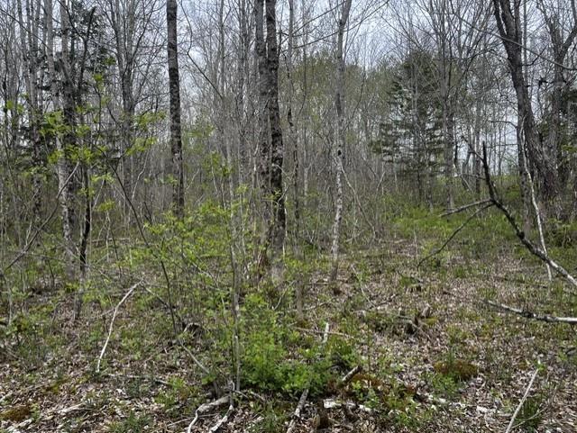 $69,000.00: Lot K1 Greenfield Road, Greenfield