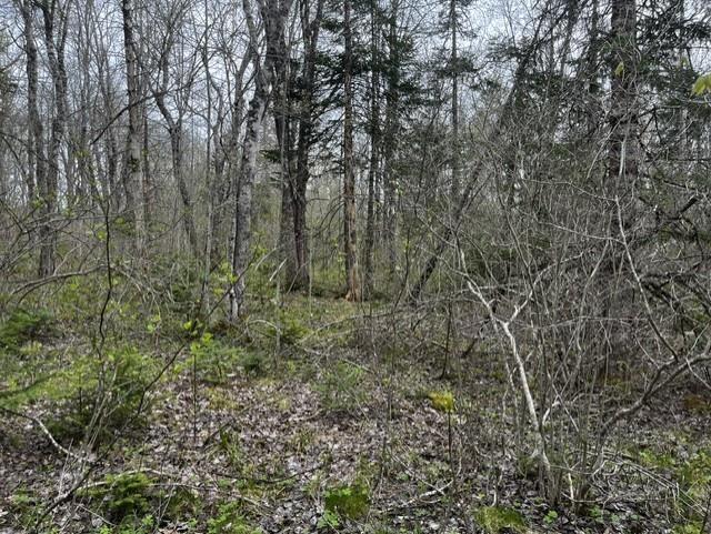 $69,000.00: Lot K1 Greenfield Road, Greenfield
