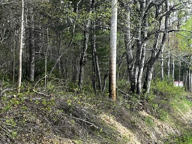 $69,000.00: Lot K1 Greenfield Road, Greenfield