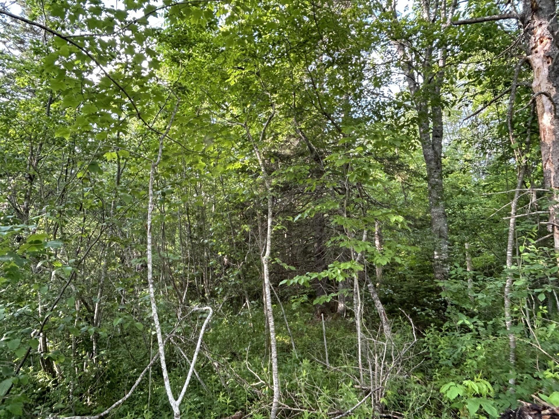 $69,000.00: Lot K1 Greenfield Road, Greenfield