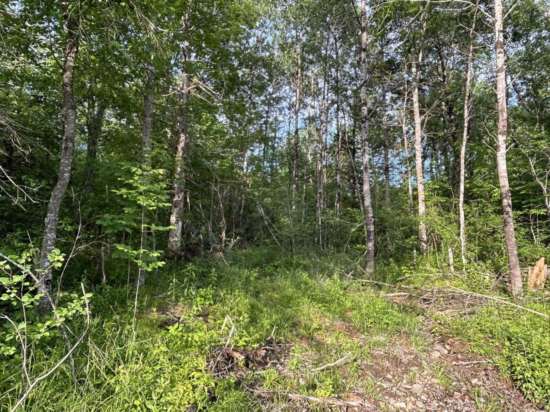 $69,000.00: Lot K1 Greenfield Road, Greenfield