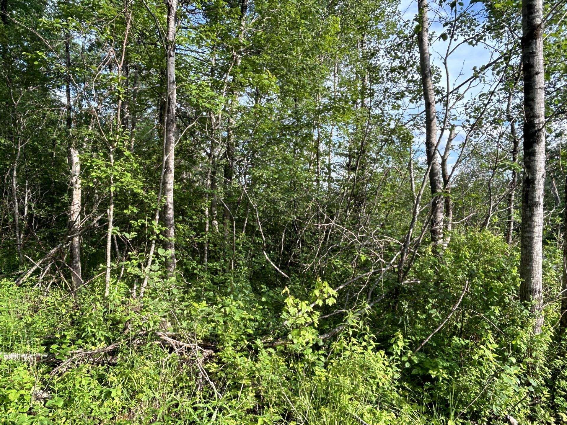 $69,000.00: Lot K1 Greenfield Road, Greenfield