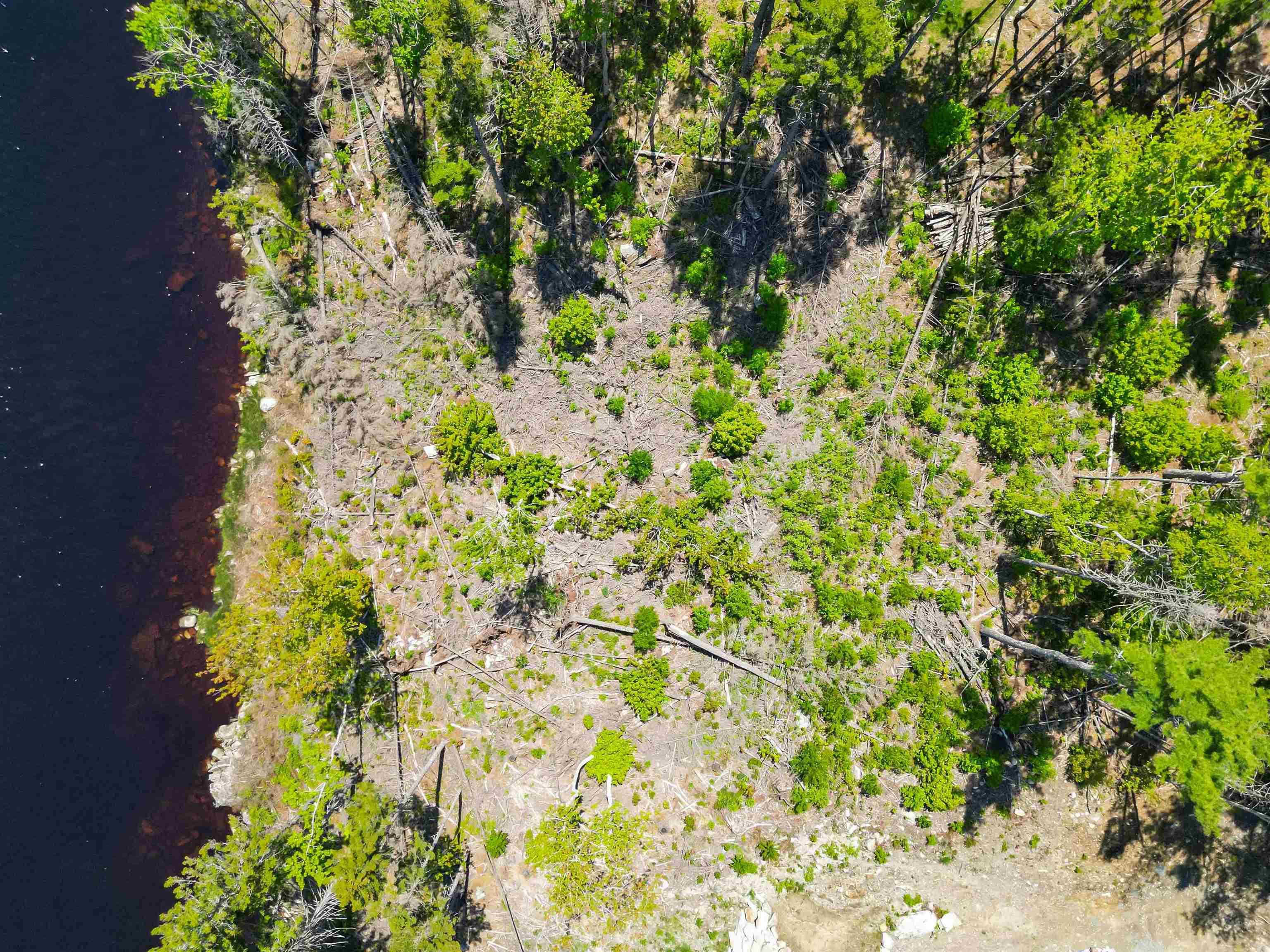 $219,000.00: Lot 2 Lavender Cove Road, Port Mouton