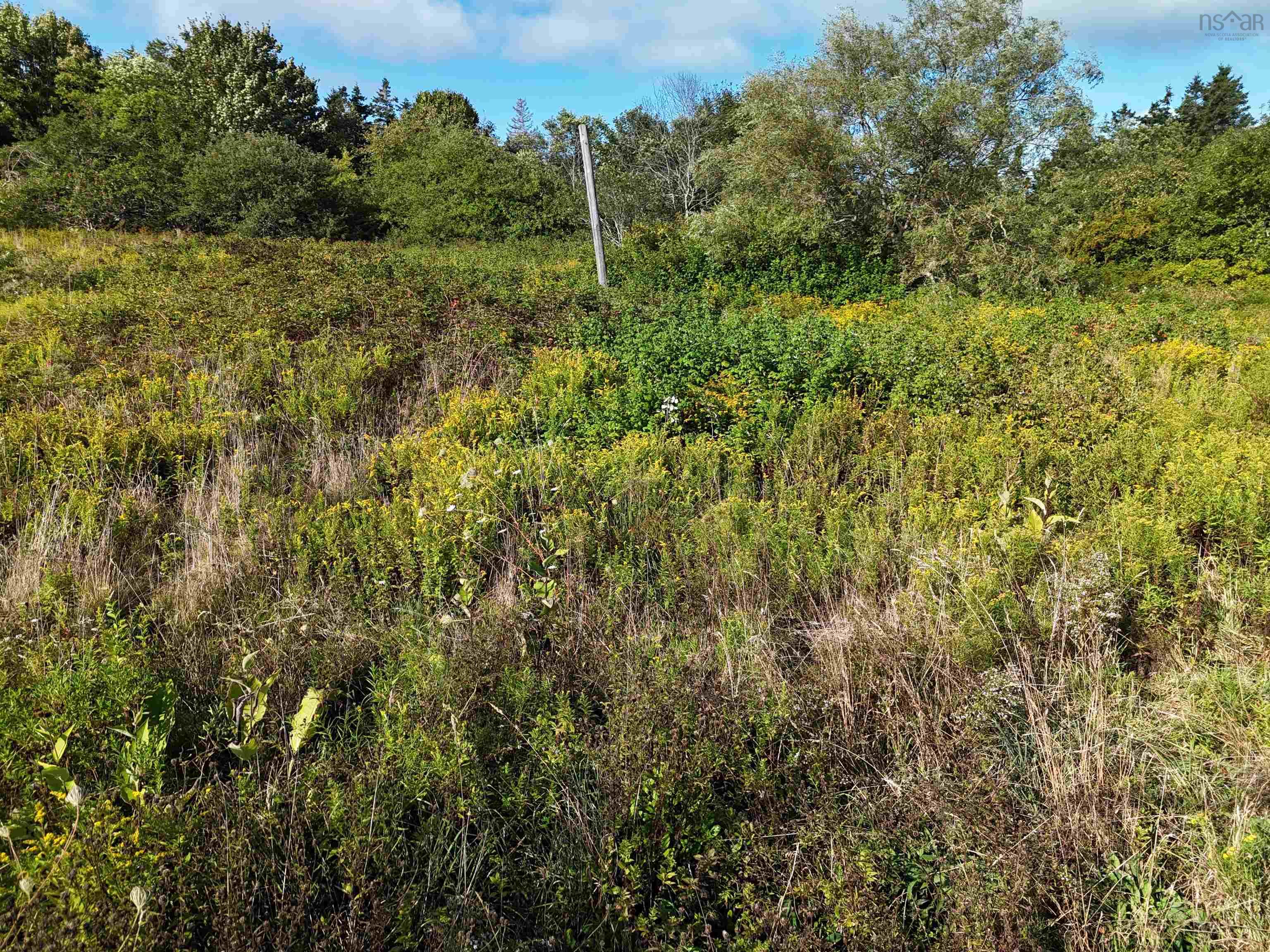 $45,000.00: 1509 Highway 308, Surettes Island