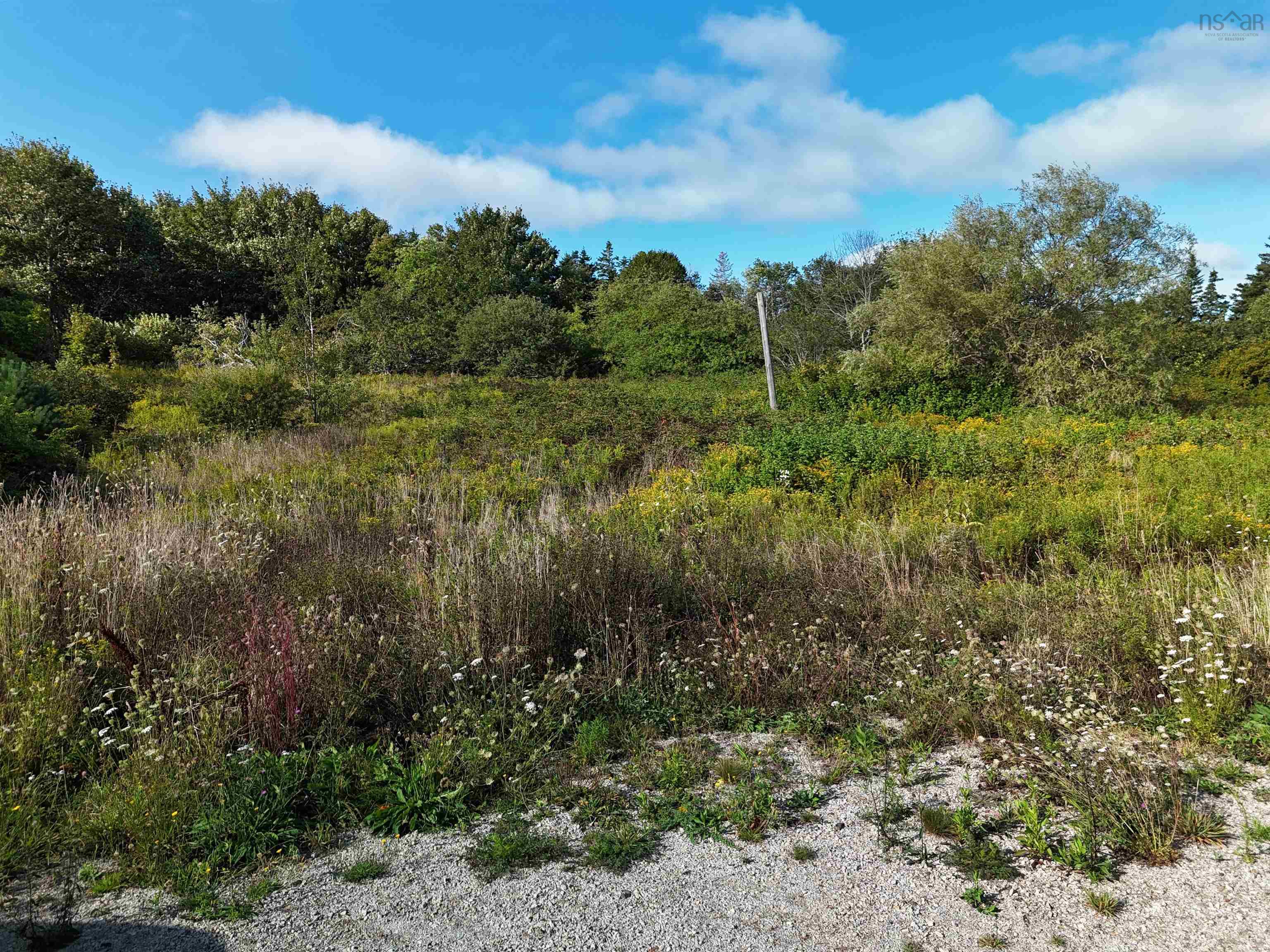$45,000.00: 1509 Highway 308, Surettes Island