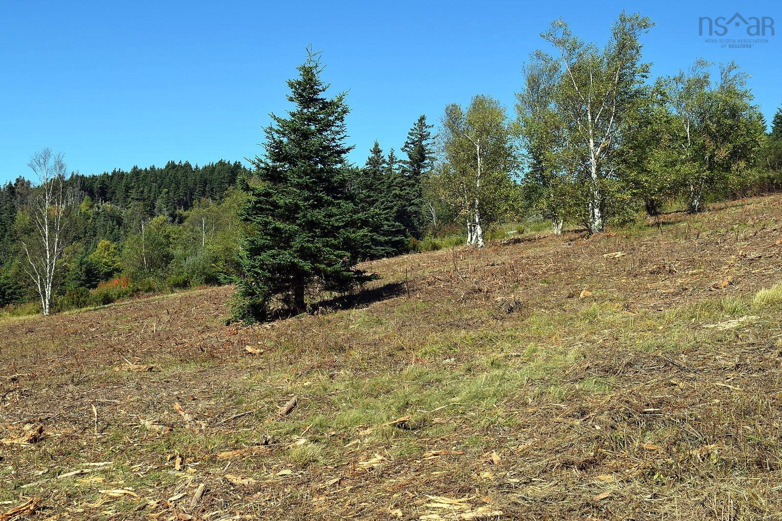 $195,000.00: Lot 4DI-19 off Mabou Harbour Road, Mabou Harbour