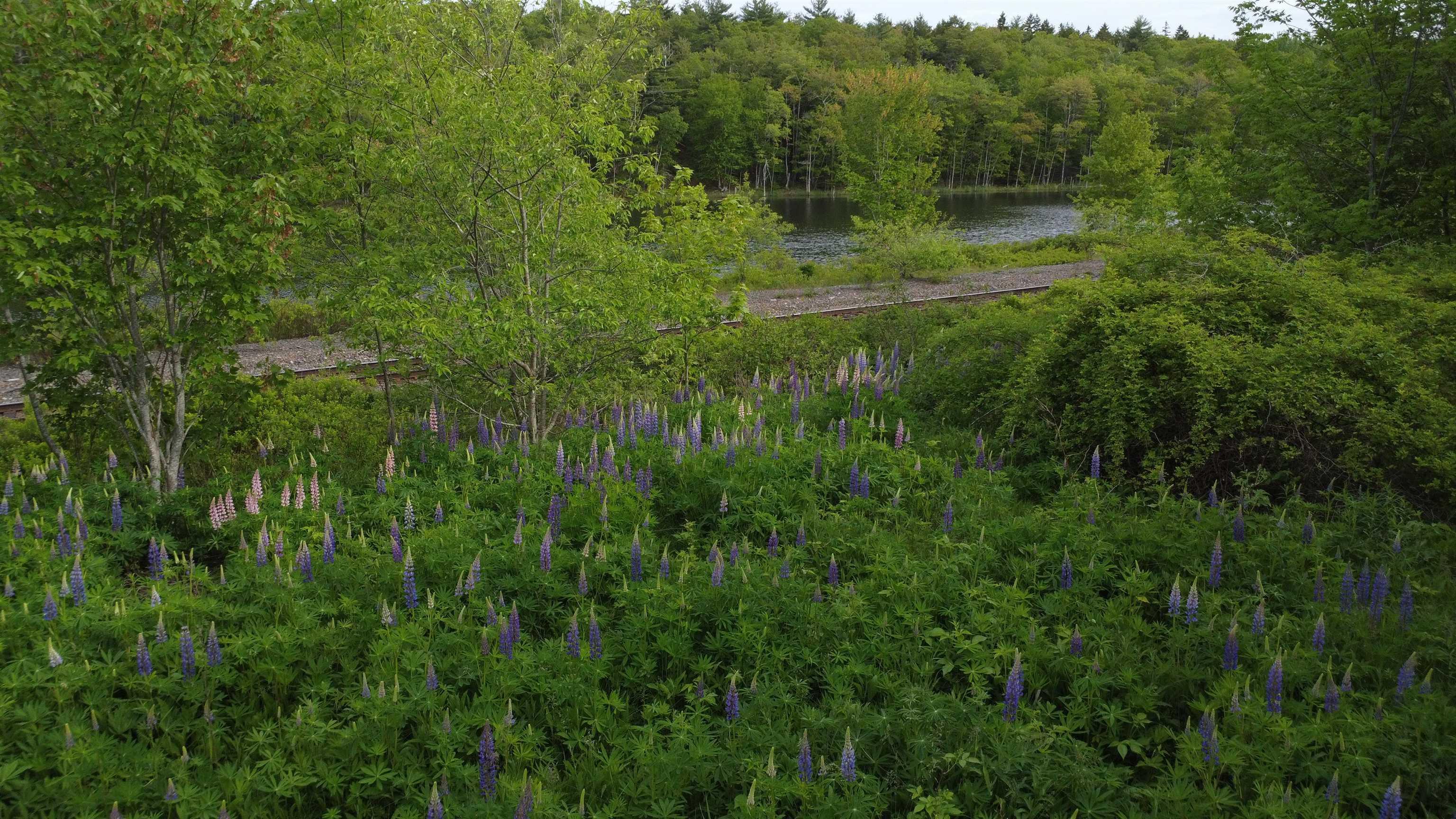 615 Rocky Lake Drive, Bedford, NS (MLS 202614010)