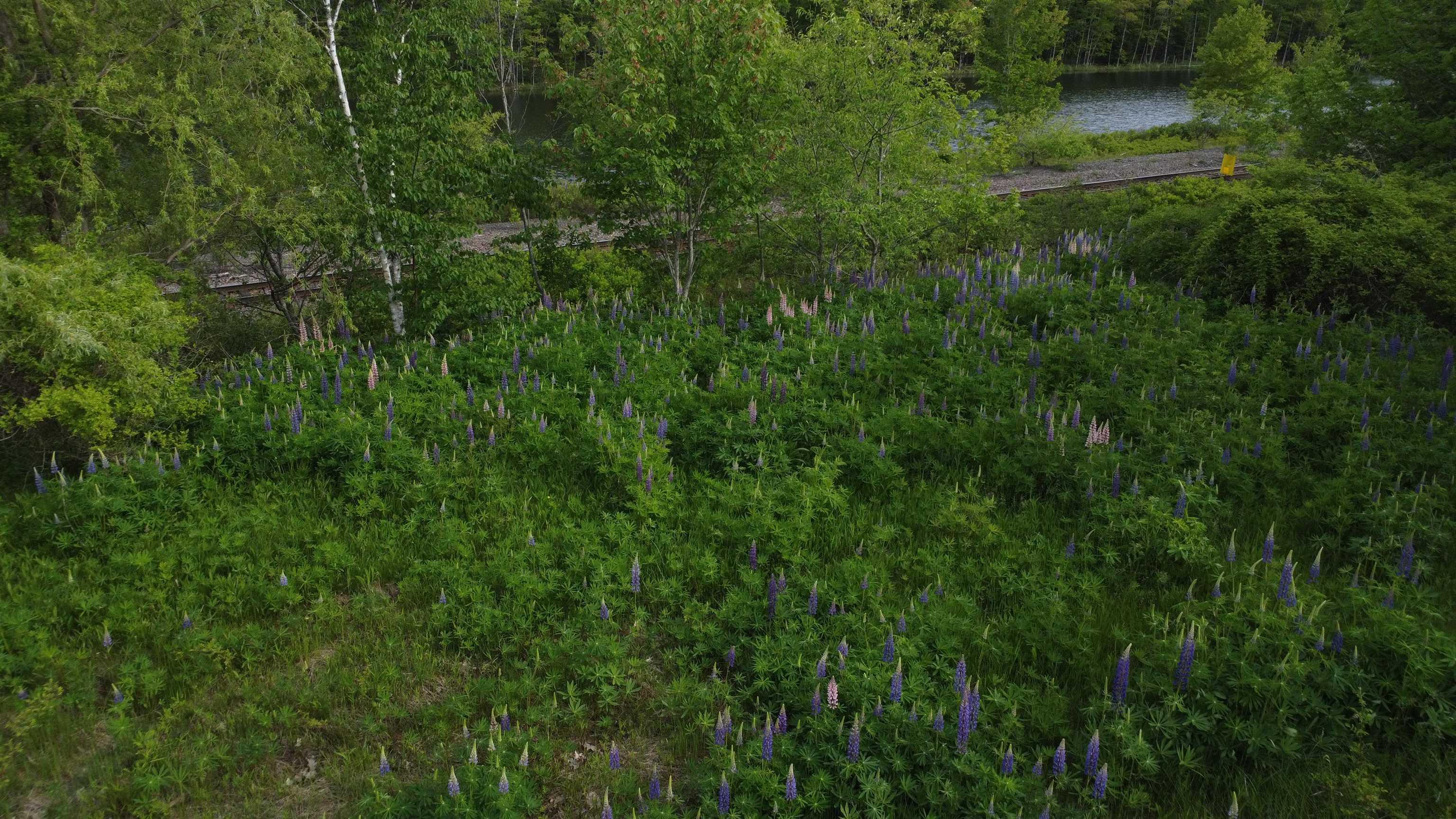 615 Rocky Lake Drive, Bedford, NS (MLS 202614010)