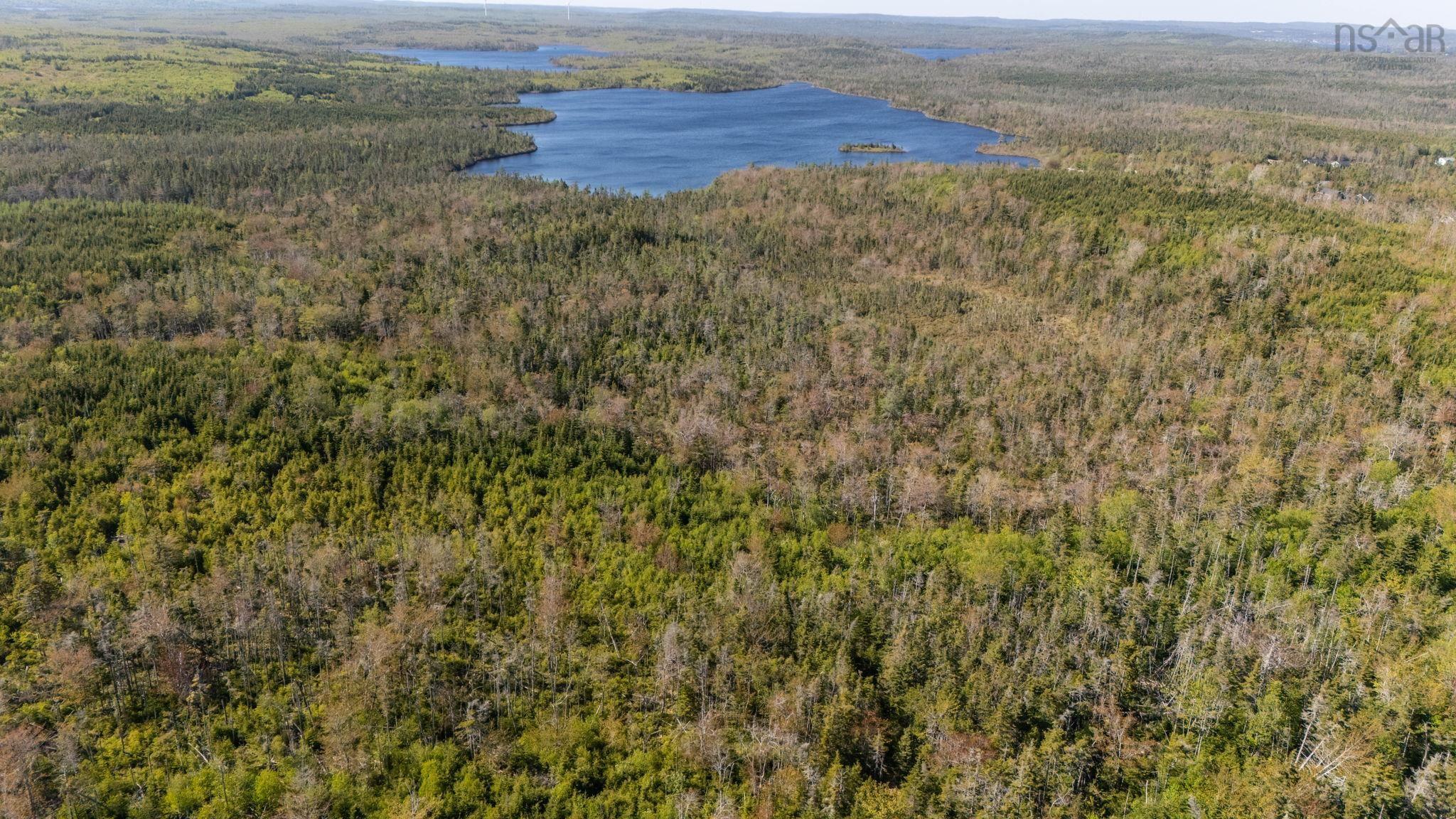 238 Nelson Drive, East Lawrencetown, NS (MLS 202614029)