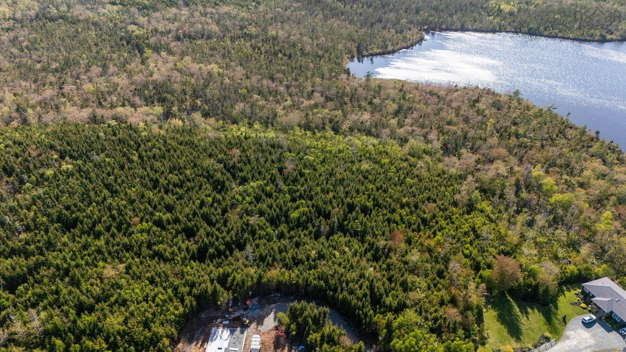 238 Nelson Drive, East Lawrencetown, NS (MLS 202614029)