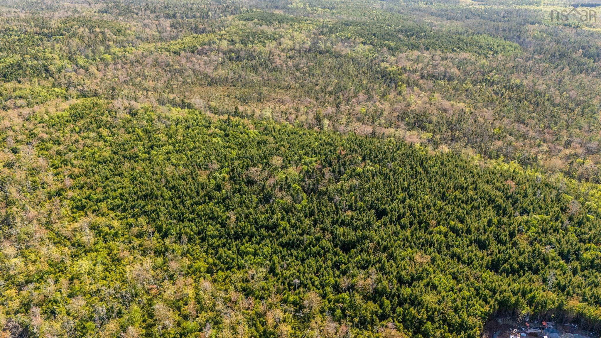238 Nelson Drive, East Lawrencetown, NS (MLS 202614029)