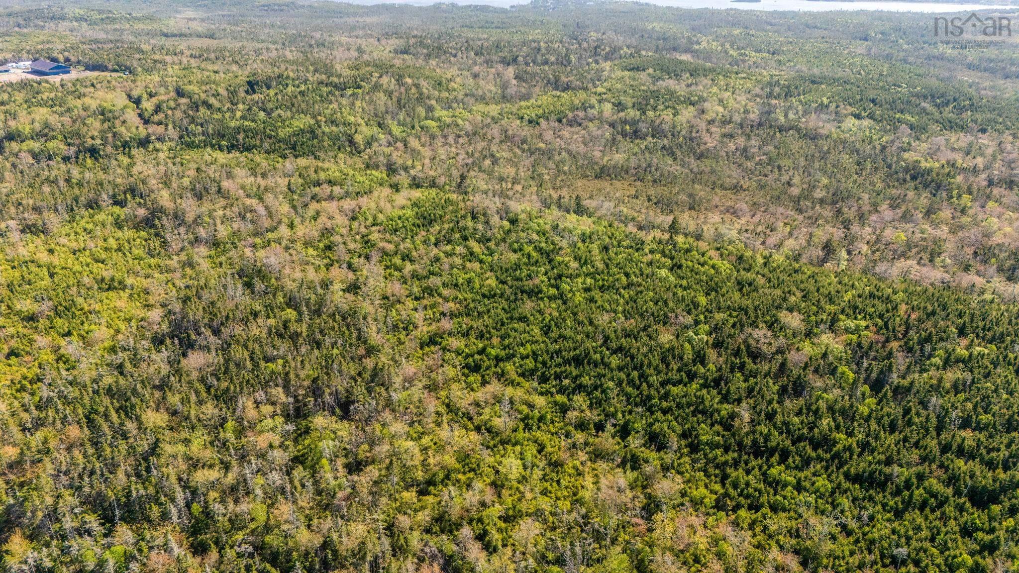 238 Nelson Drive, East Lawrencetown, NS (MLS 202614029)