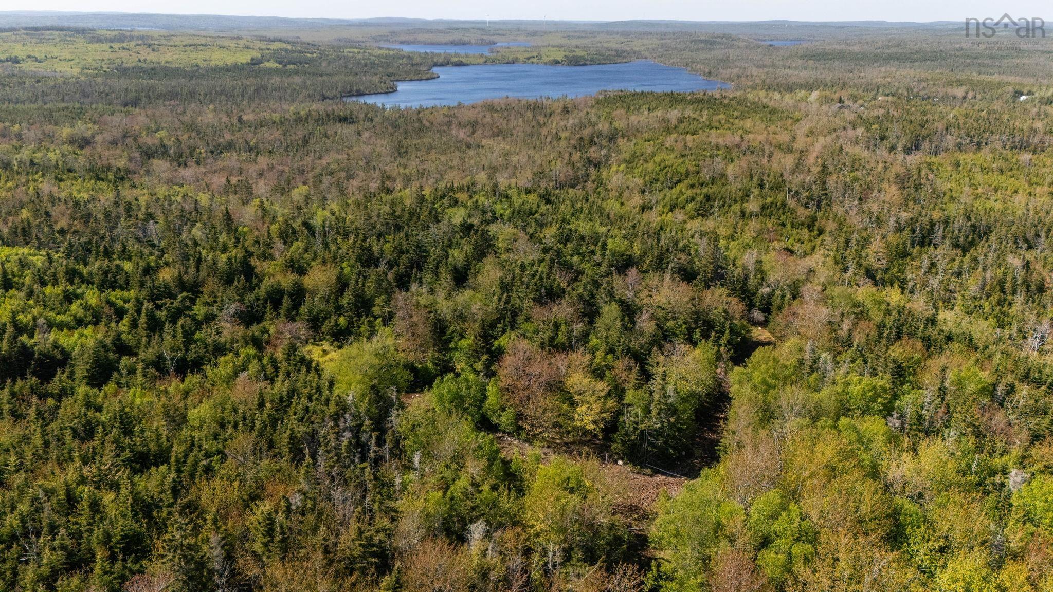 238 Nelson Drive, East Lawrencetown, NS (MLS 202614029)
