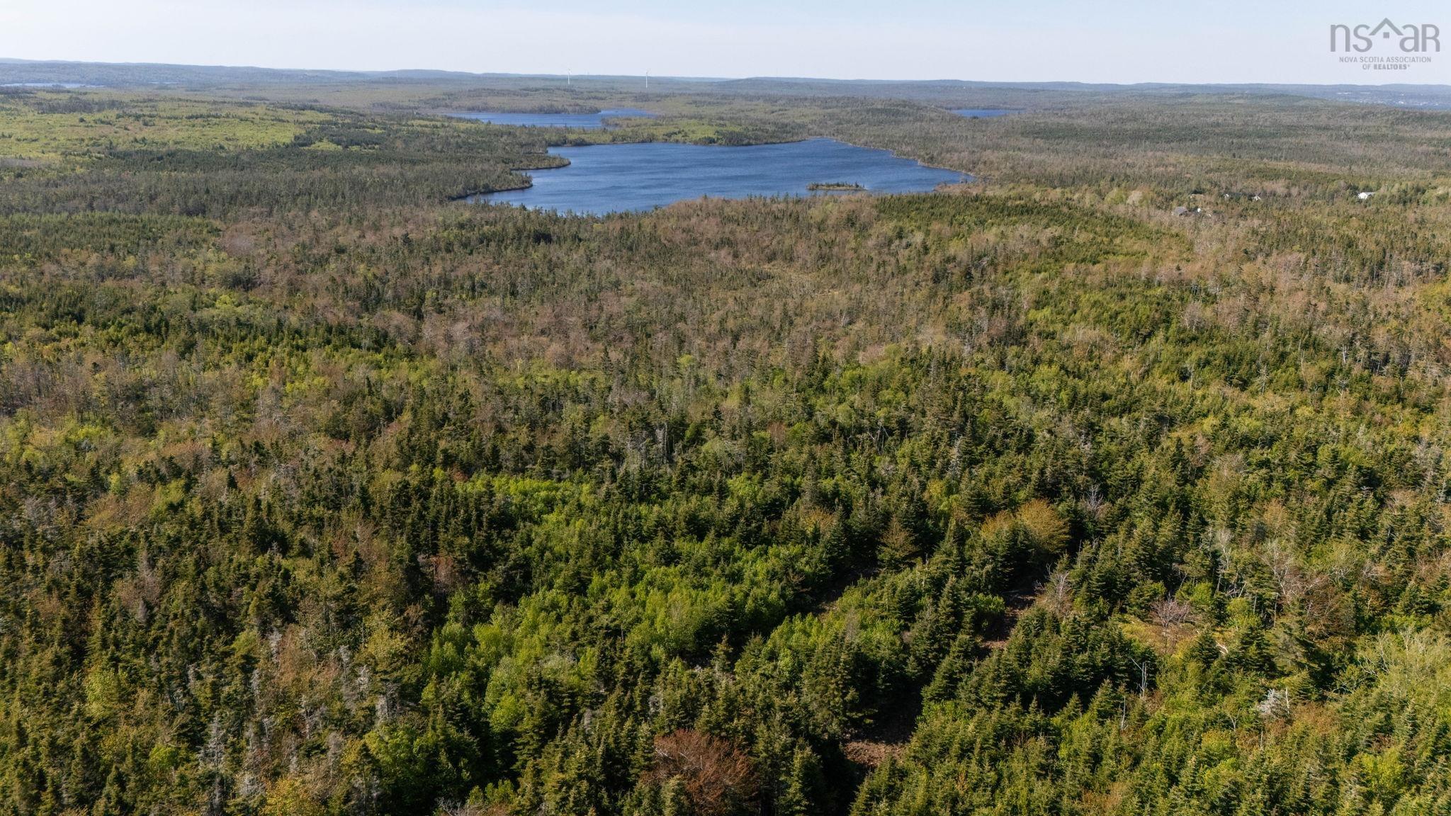 238 Nelson Drive, East Lawrencetown, NS (MLS 202614029)