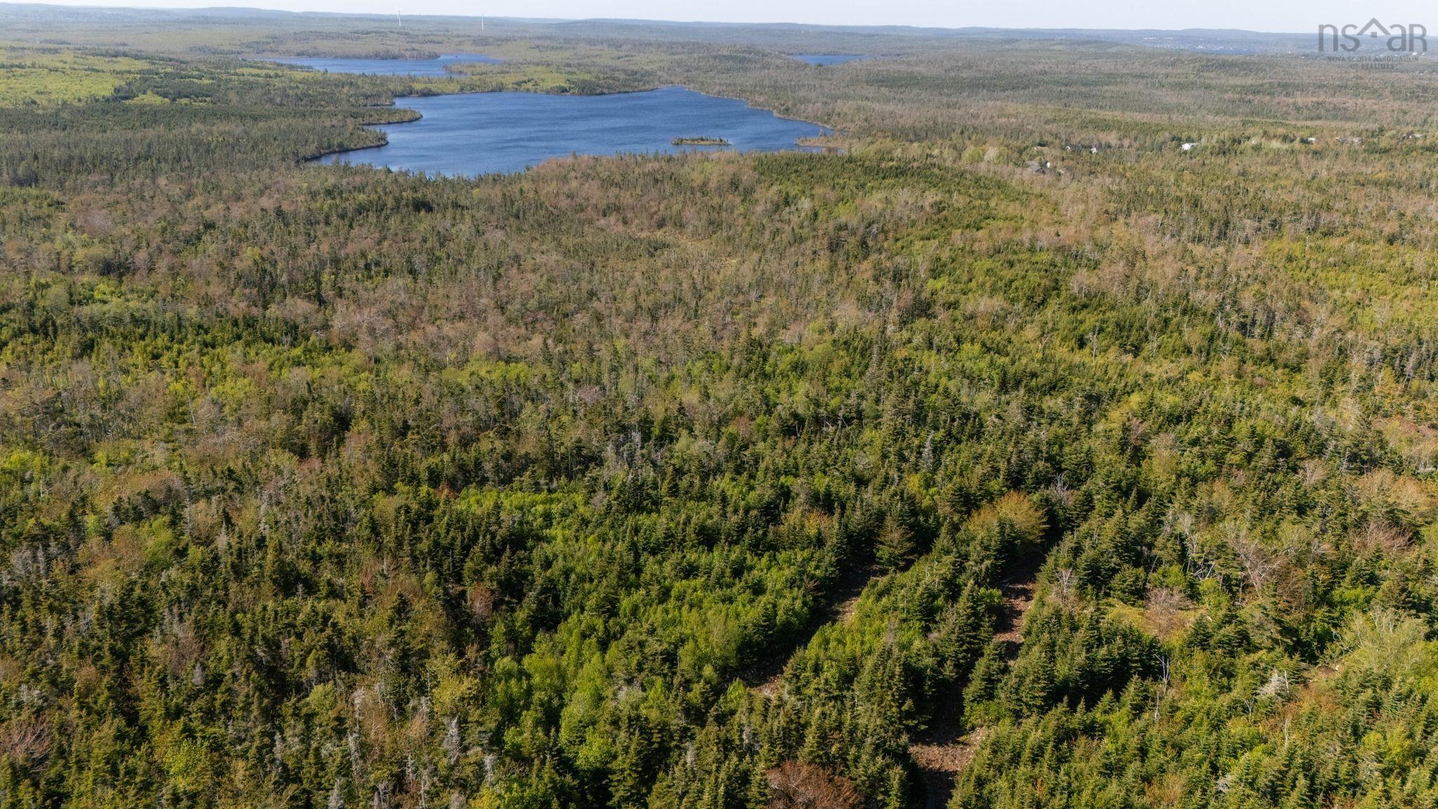 238 Nelson Drive, East Lawrencetown, NS (MLS 202614029)