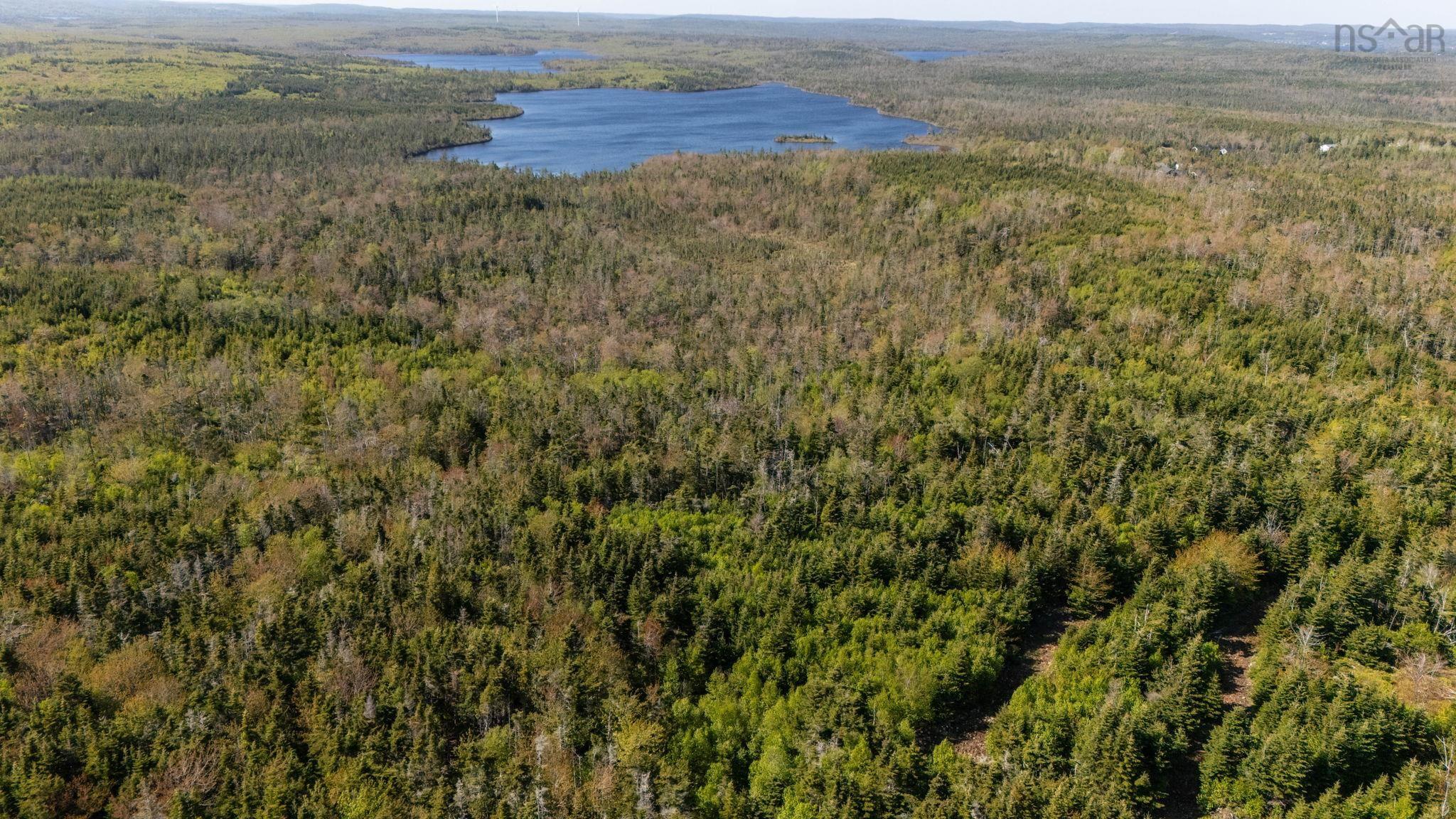 238 Nelson Drive, East Lawrencetown, NS (MLS 202614029)