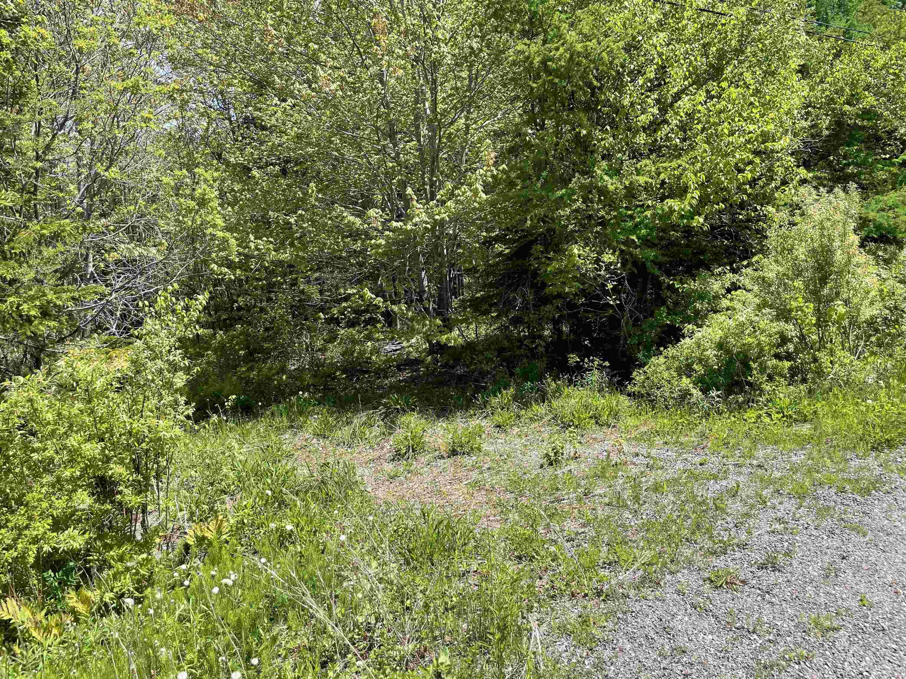 $59,000.00: 5AC Mountain View Drive, Sydney Forks