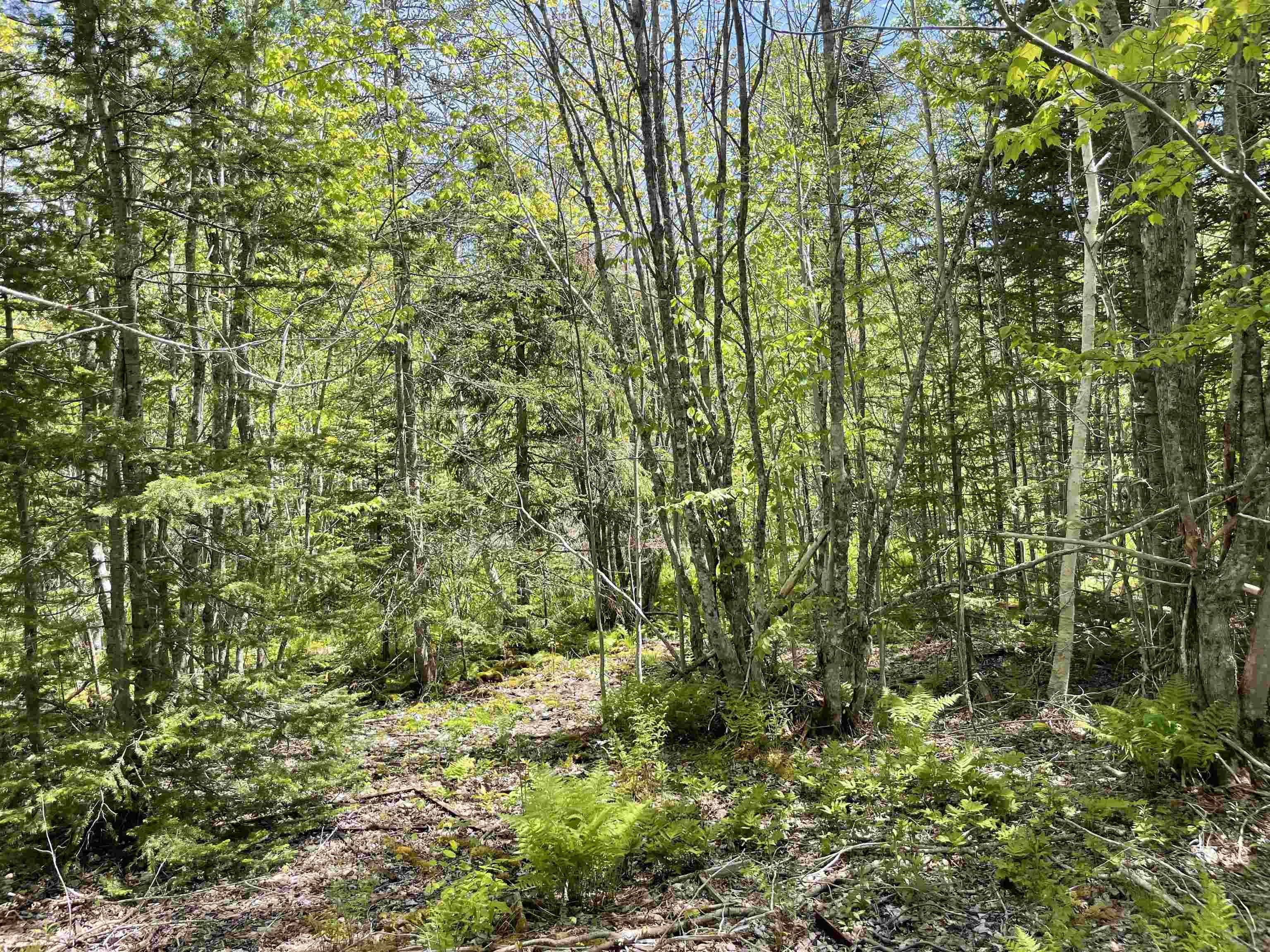 $59,000.00: 5AC Mountain View Drive, Sydney Forks