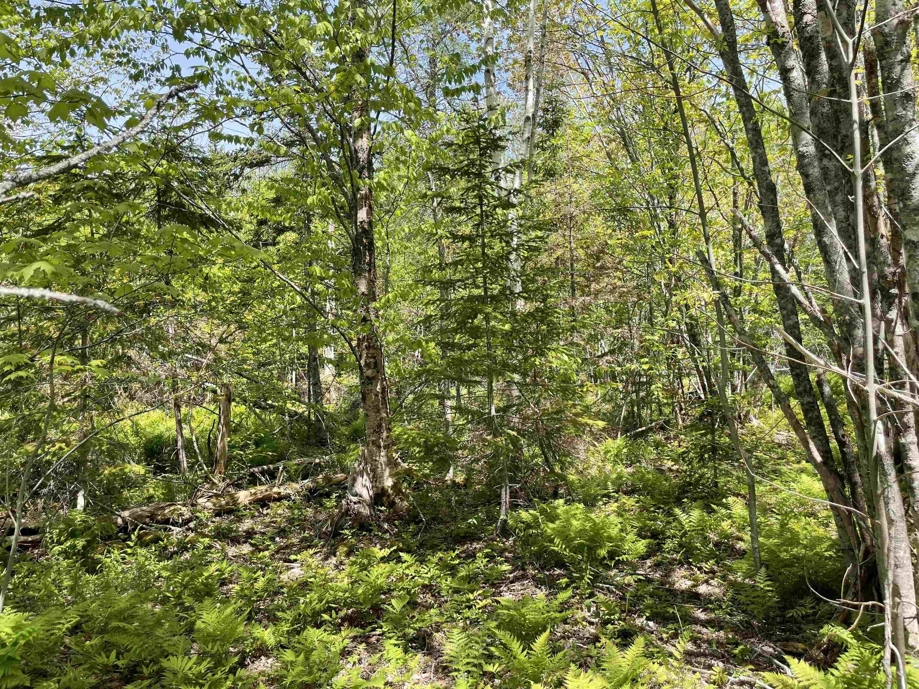 $59,000.00: 5AC Mountain View Drive, Sydney Forks