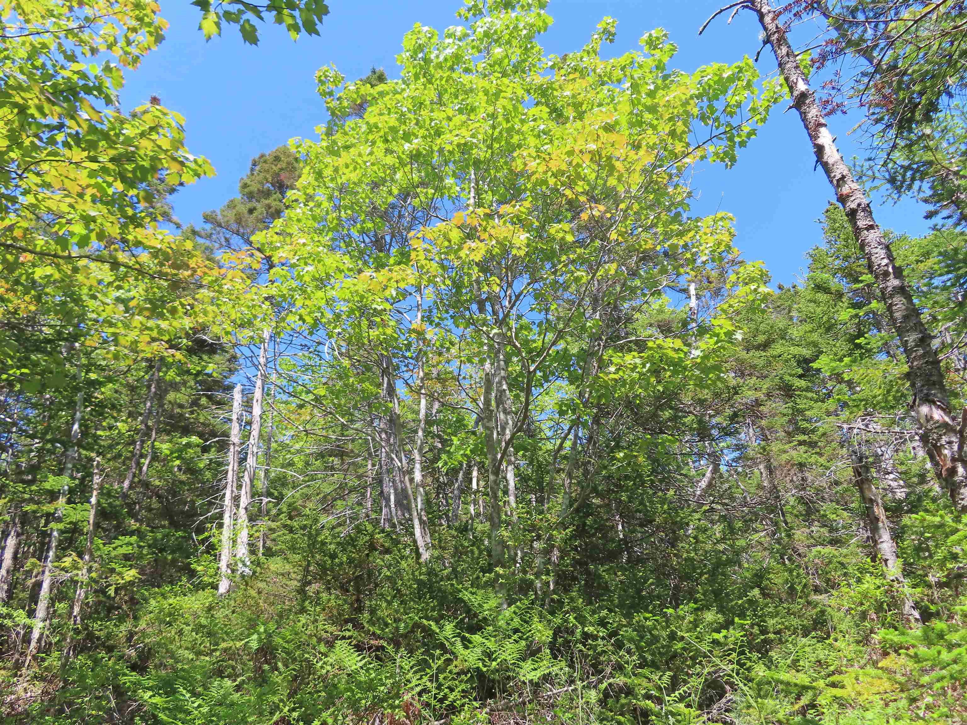 $125,400.00: Lot 14 Perry Lane, Lennox Passage