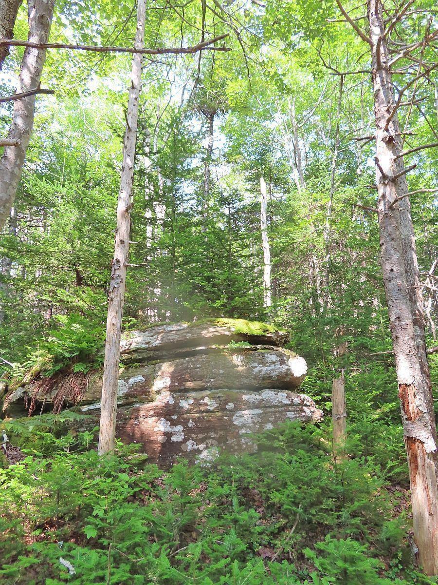$125,400.00: Lot 14 Perry Lane, Lennox Passage