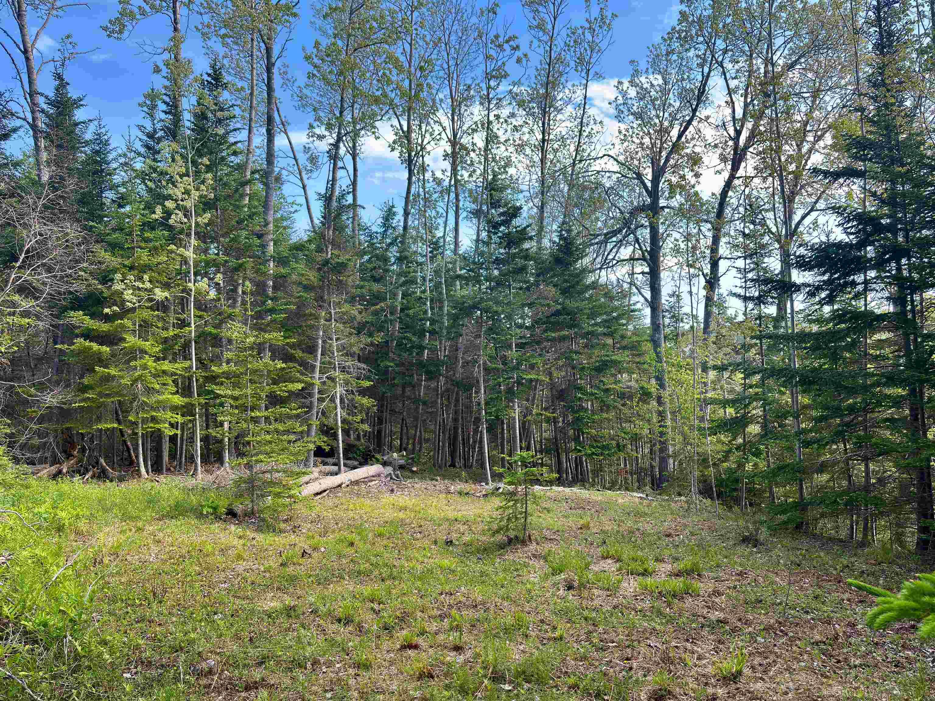 $219,900.00: Lot 2A Old Farm Road, Greenhill