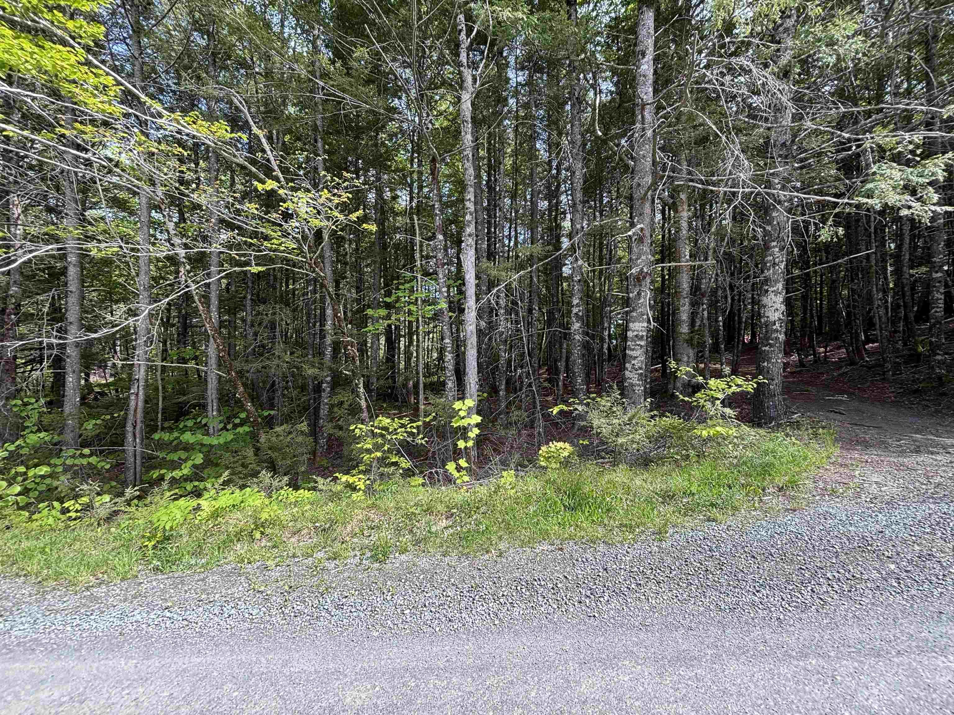 $34,900.00: Lot 17 Bruhm Lane, Middle New Cornwall