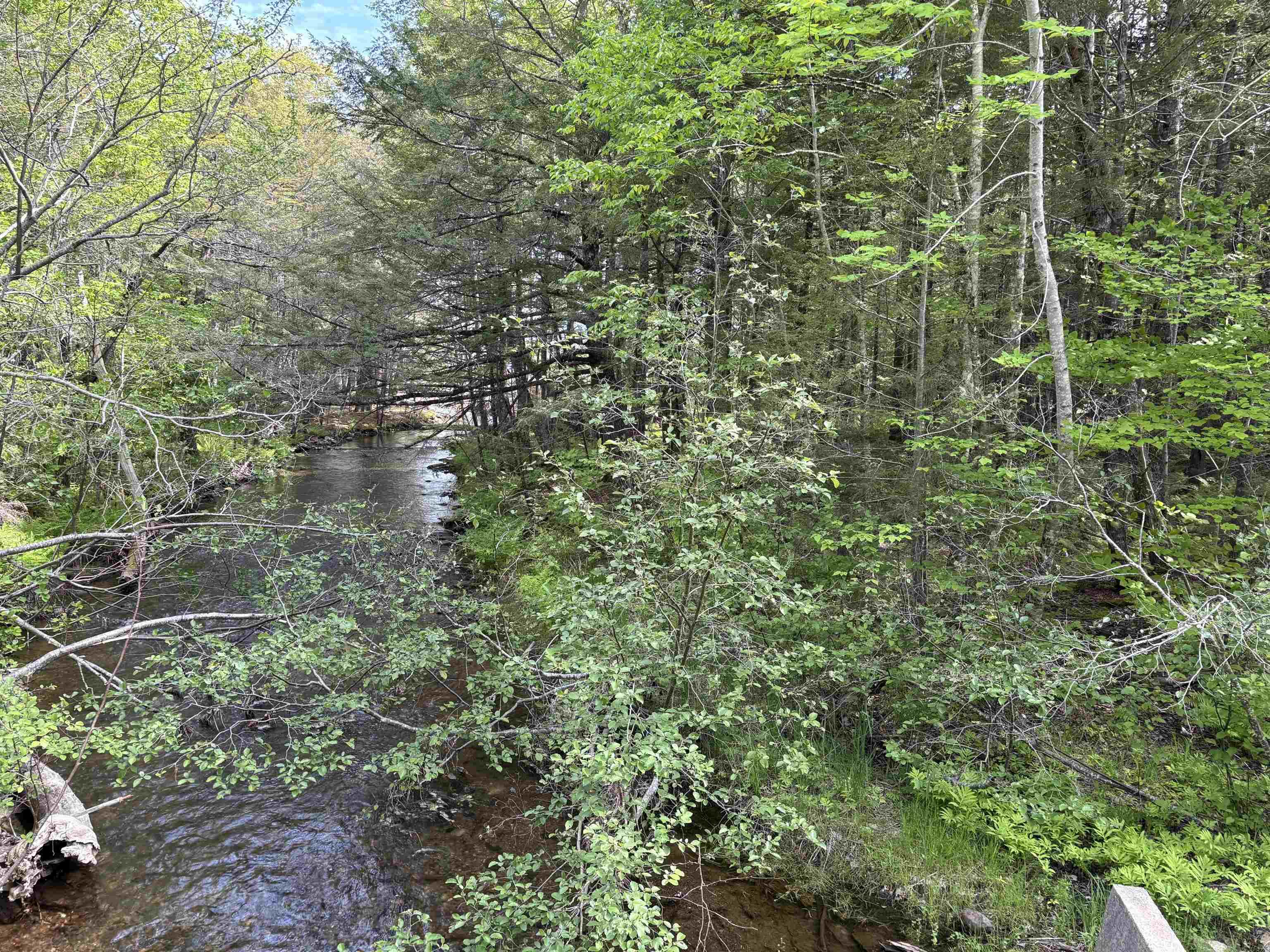 $34,900.00: Lot 17 Bruhm Lane, Middle New Cornwall