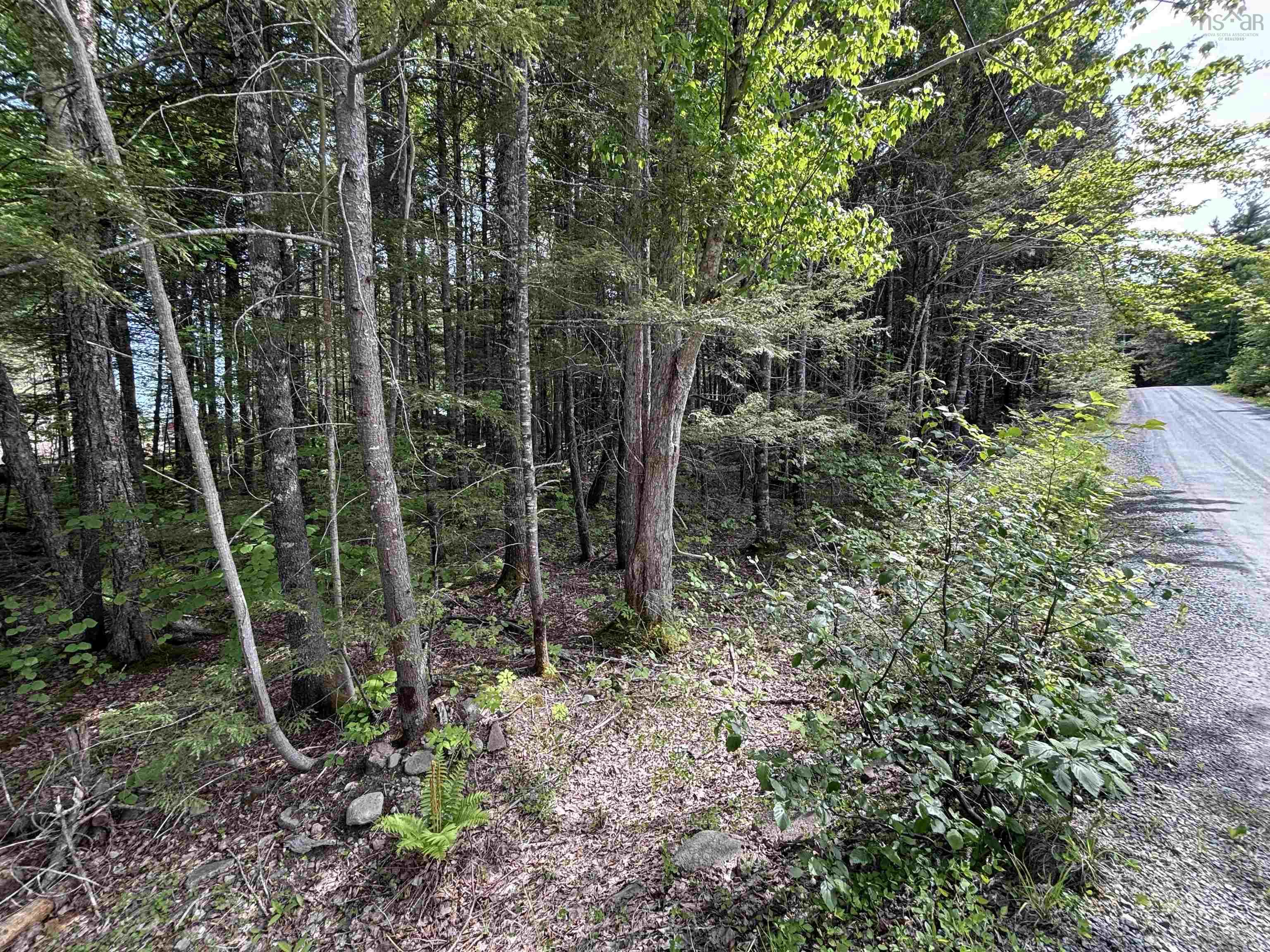 $34,900.00: Lot 17 Bruhm Lane, Middle New Cornwall