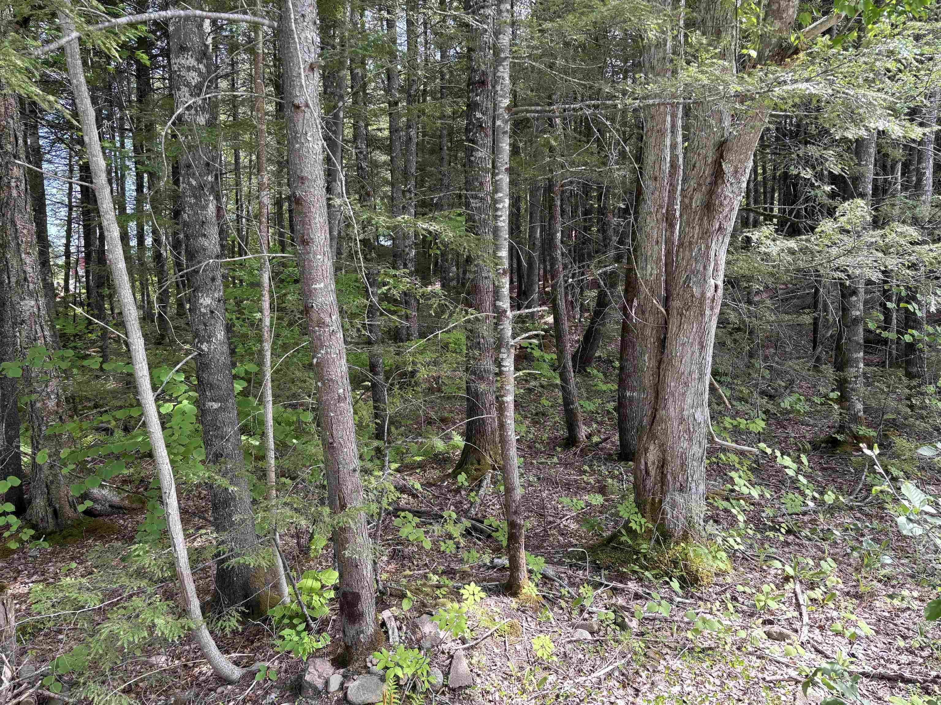 $34,900.00: Lot 17 Bruhm Lane, Middle New Cornwall