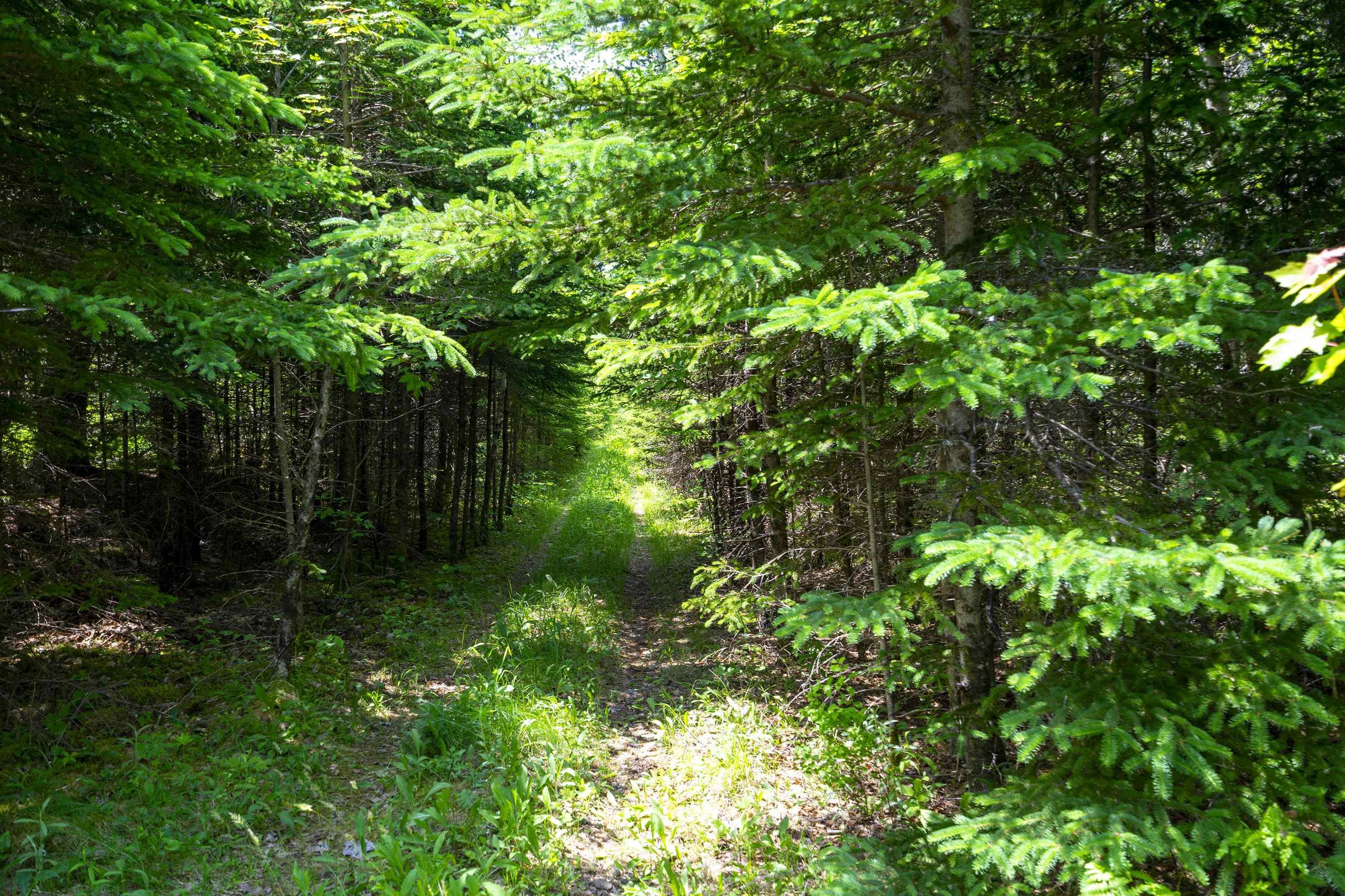 $75,000.00: Lot West Dalhousie Road, Lake La Rose