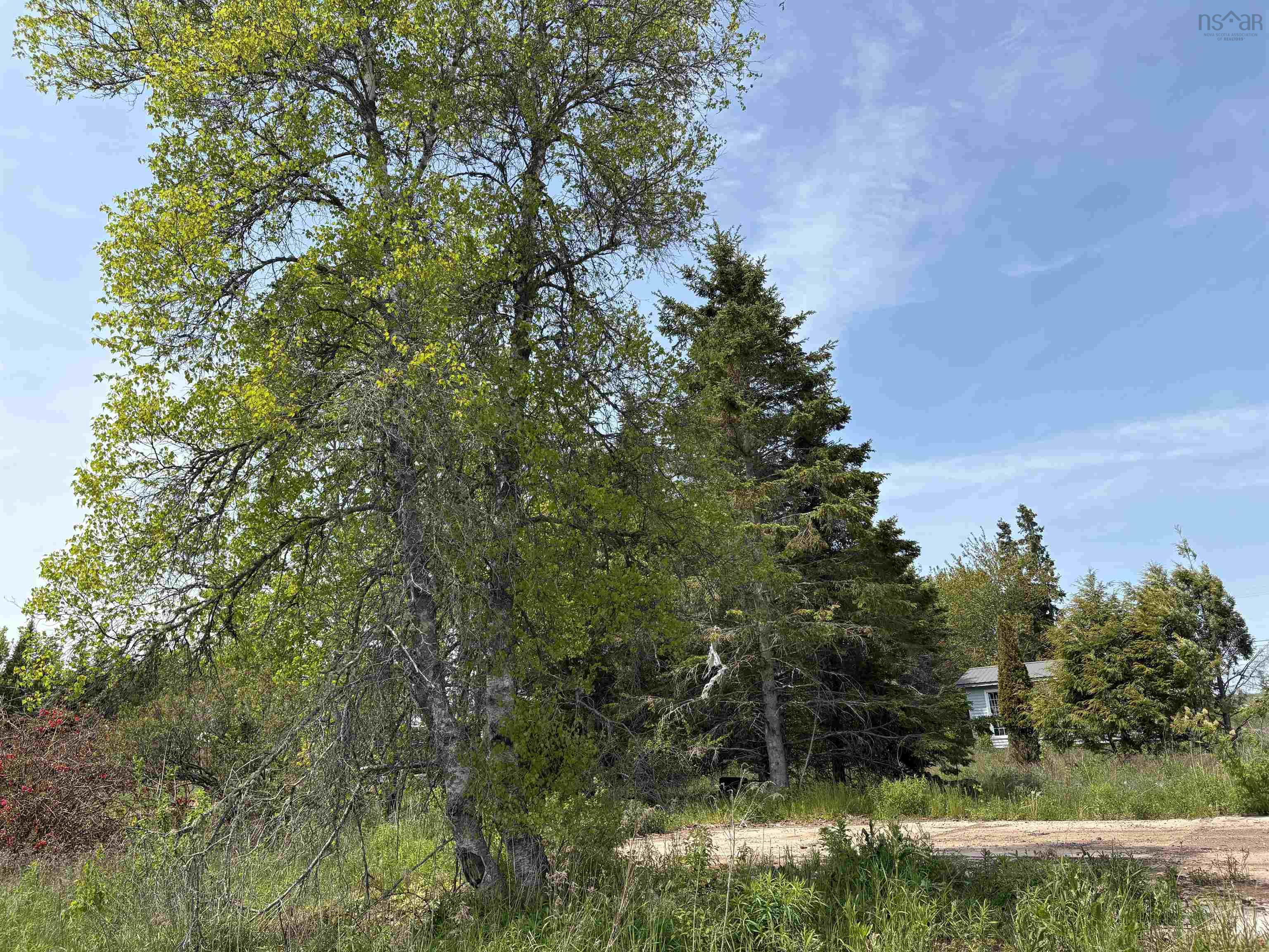 $90,000.00: 9260 N0. 2 Great Village Highway, Great Village