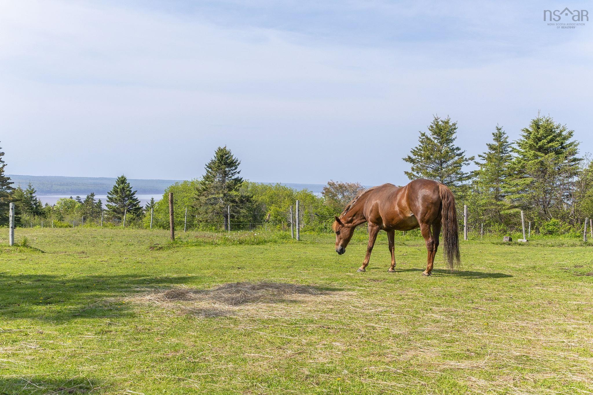 $599,000.00: 48 Rogers Road, Scots Bay