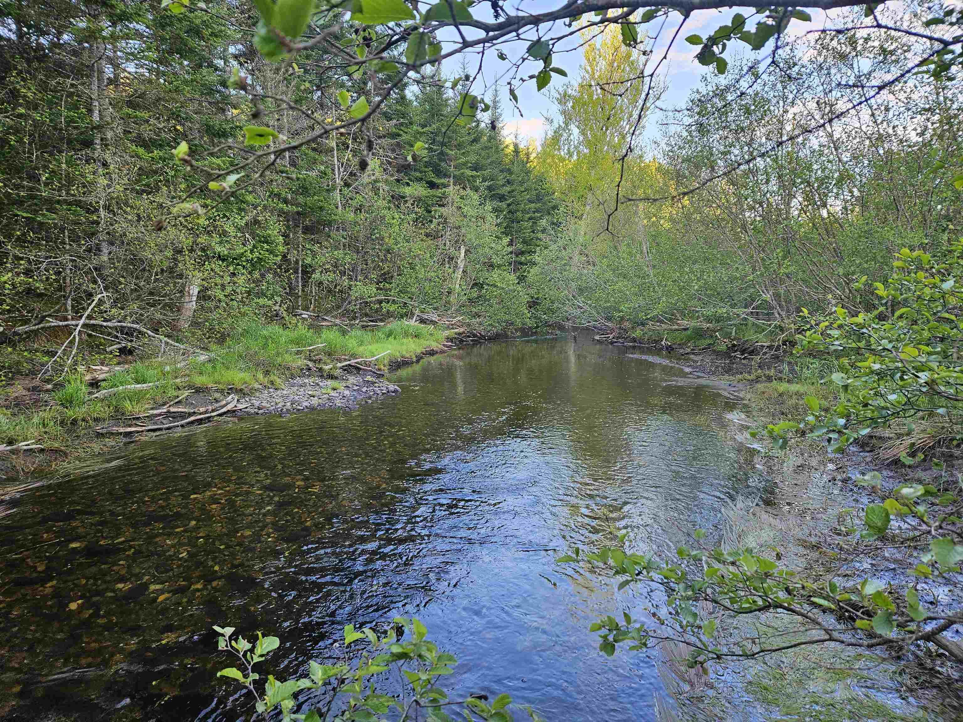 $35,000.00: Lot Highway 336 Highway, Dean