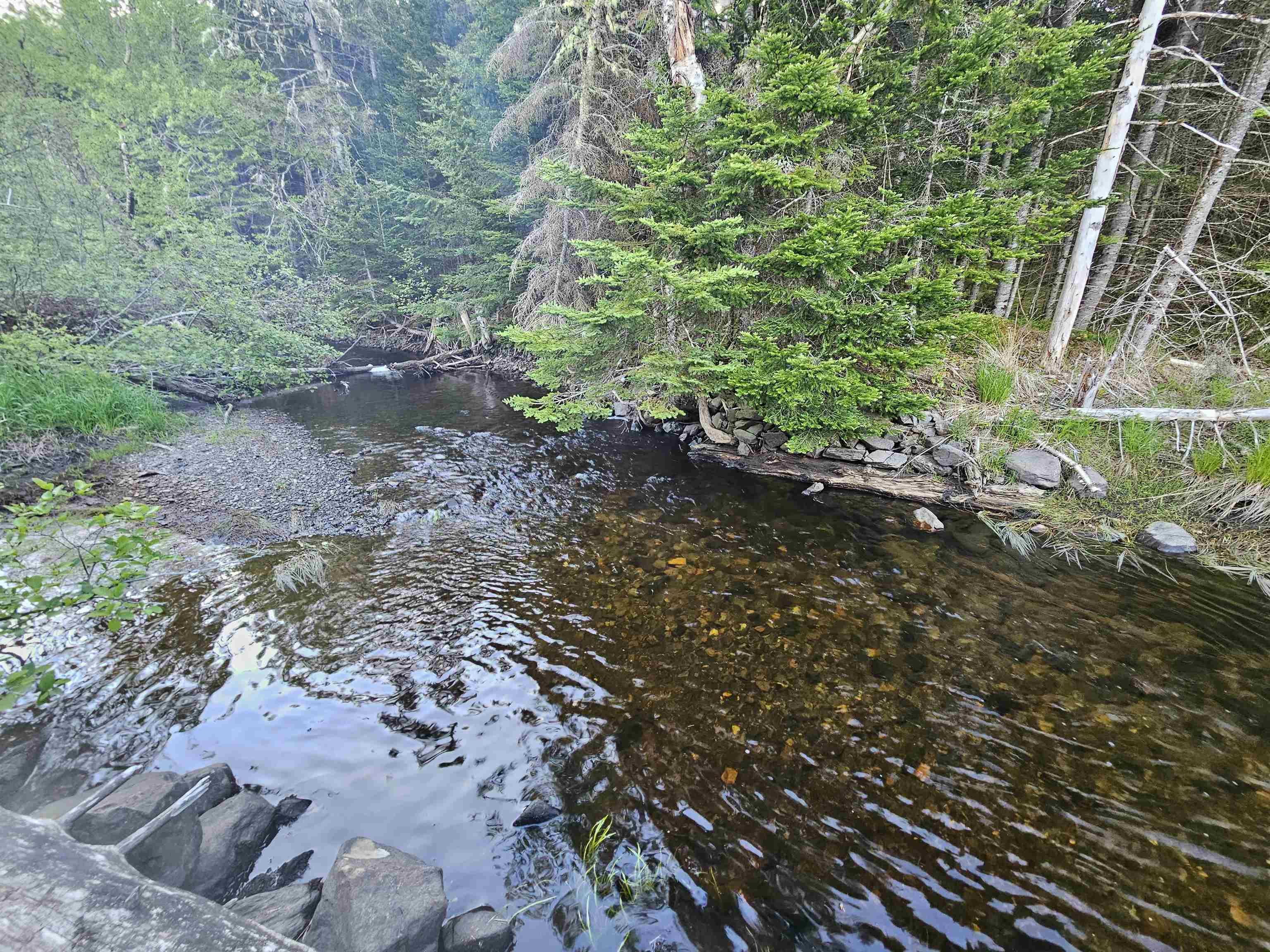 $35,000.00: Lot Highway 336 Highway, Dean