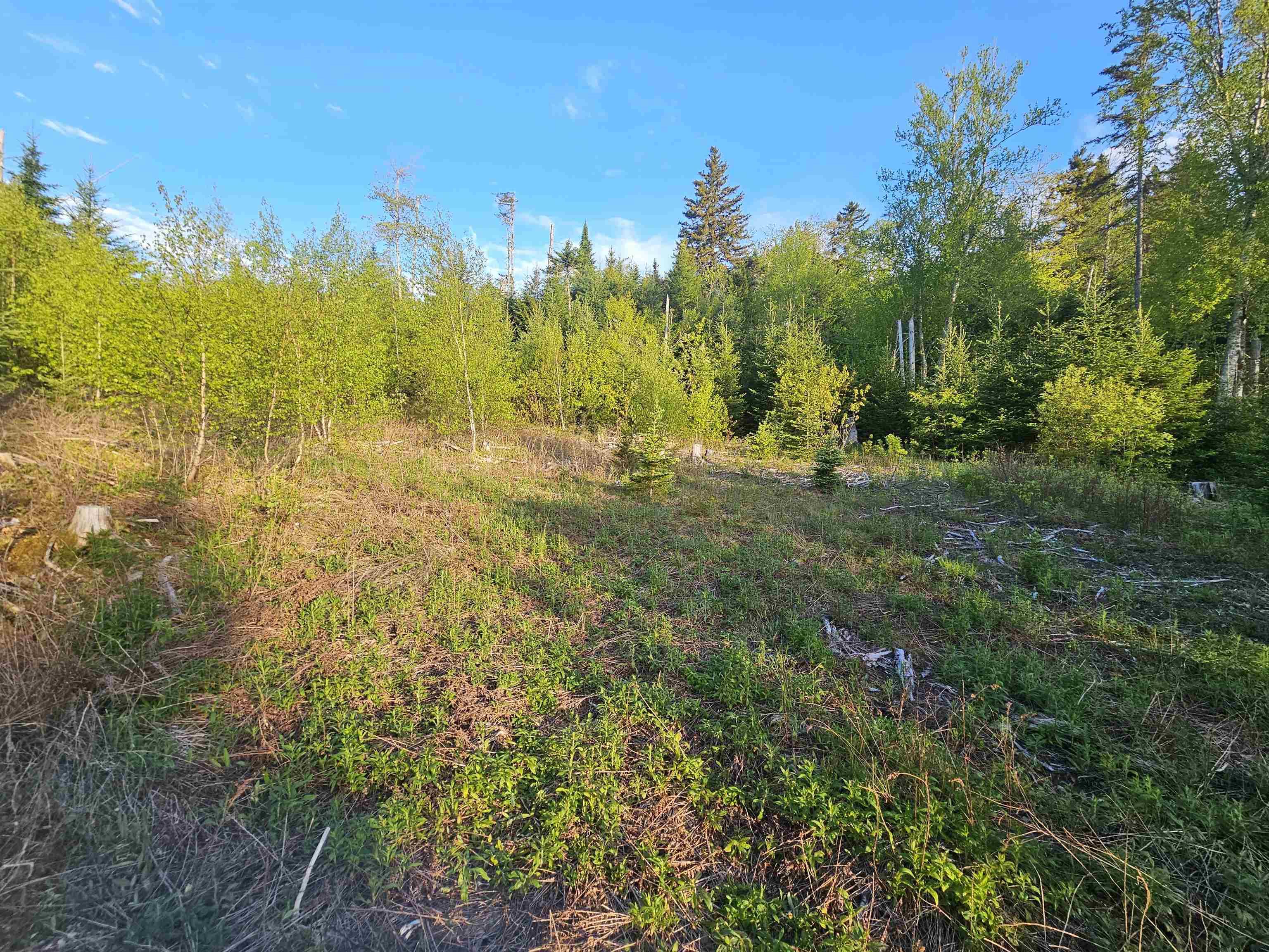 $35,000.00: Lot Highway 336 Highway, Dean