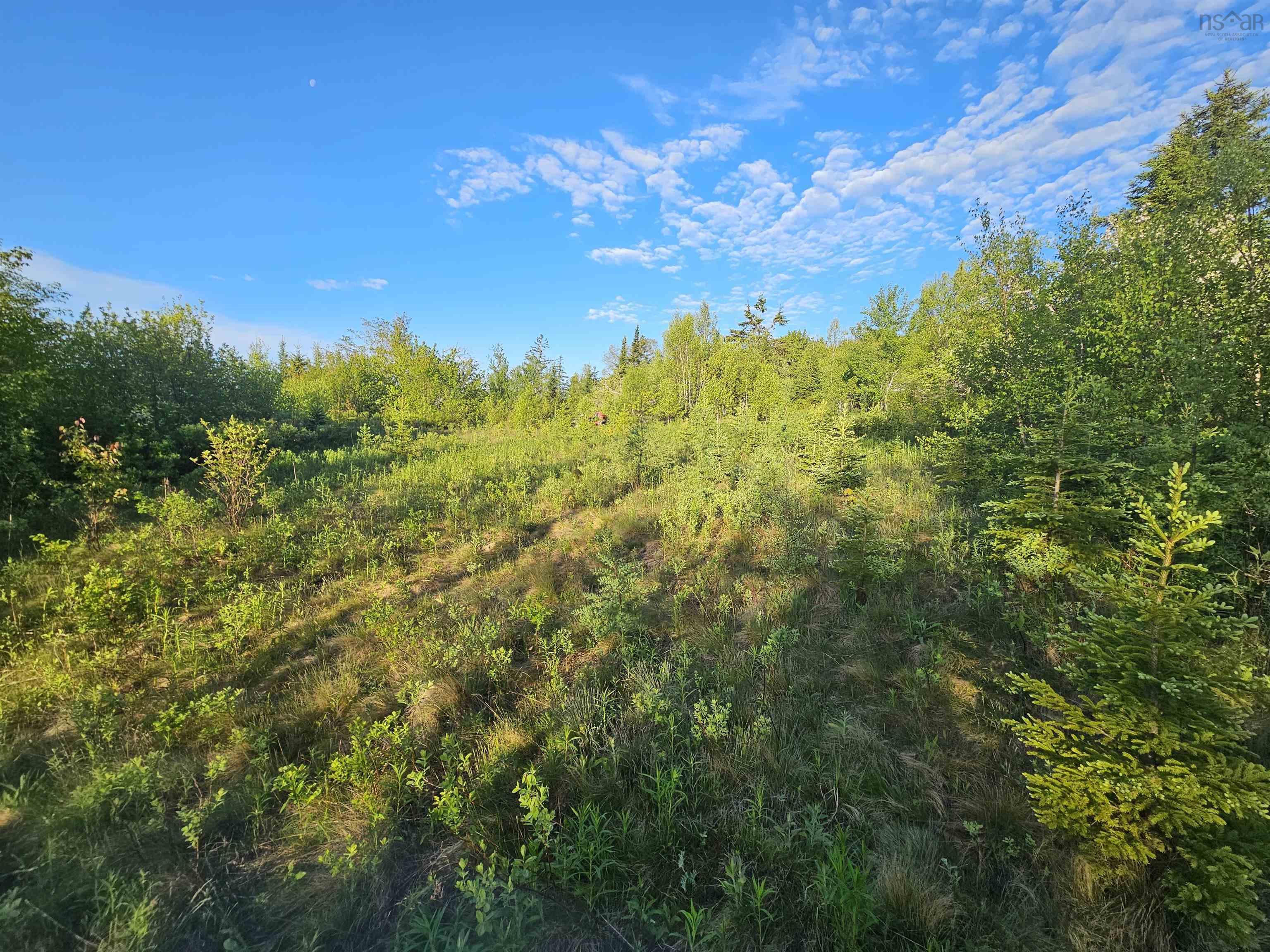 $35,000.00: Lot Highway 336 Highway, Dean