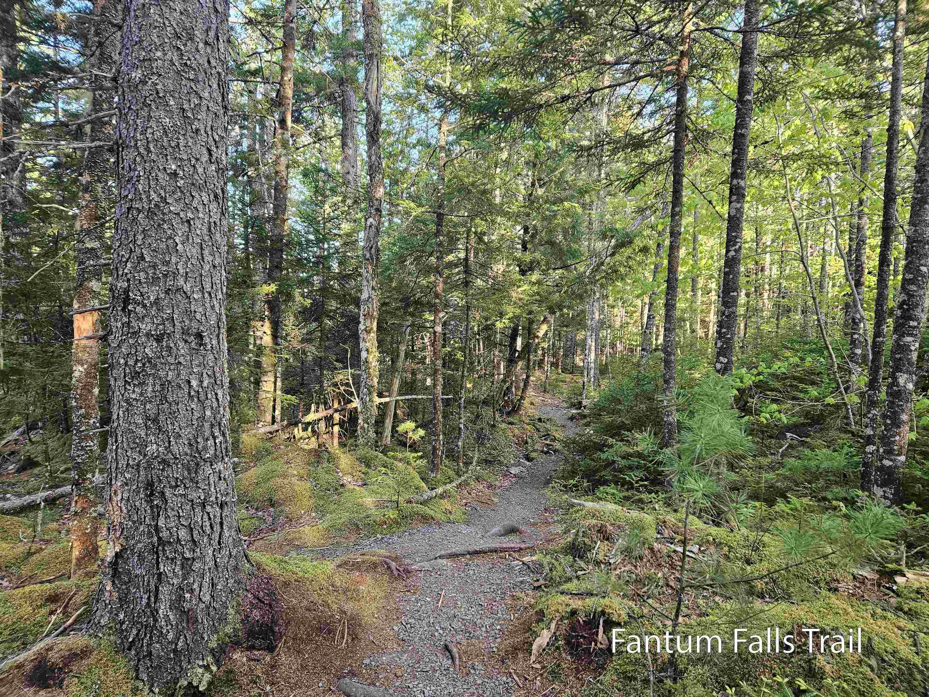 $35,000.00: Lot Highway 336, Dean