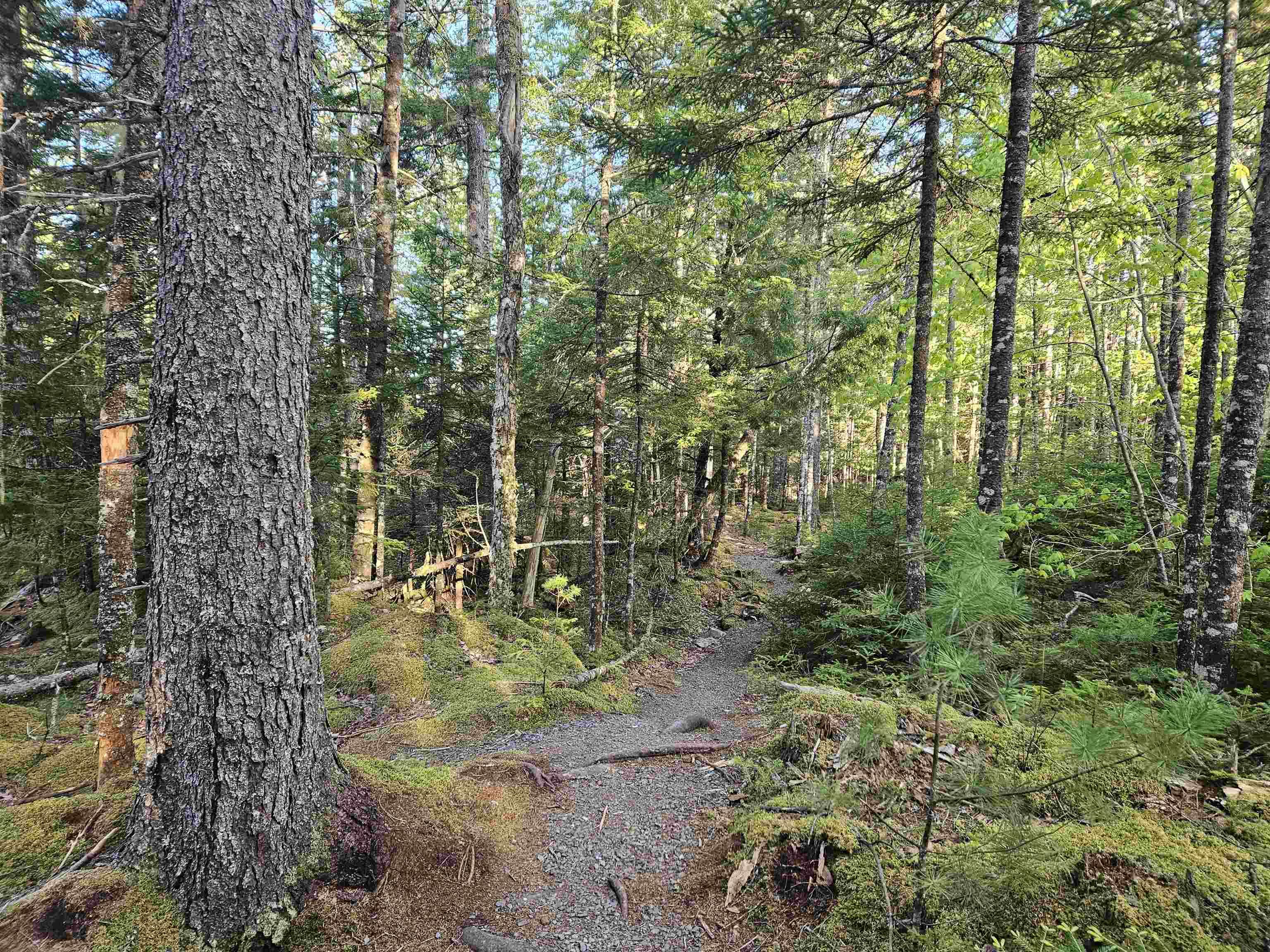 $35,000.00: Lot Highway 336 Highway, Dean
