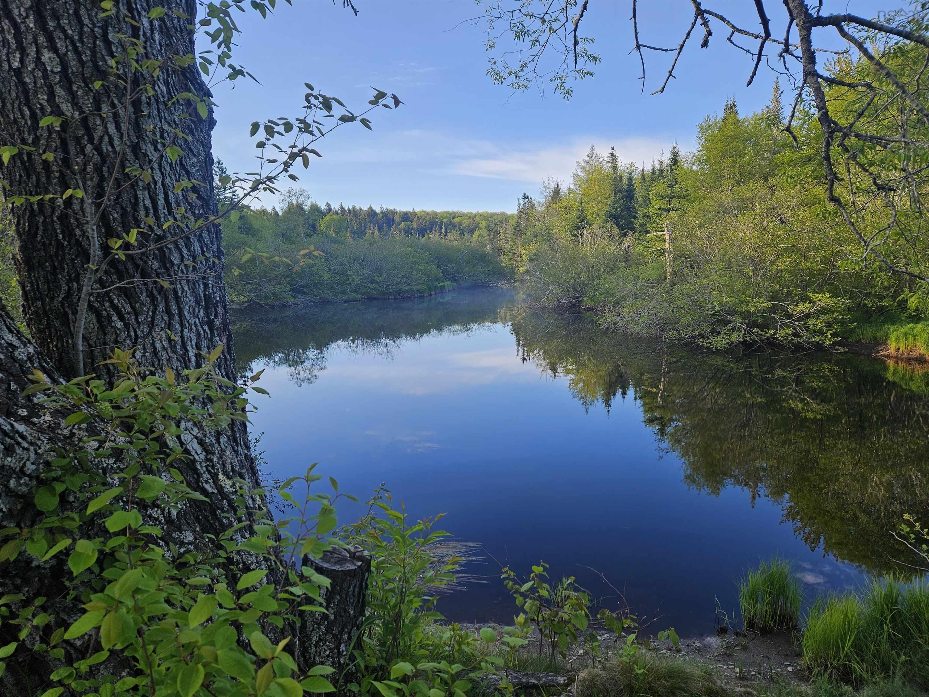 $35,000.00: Lot Highway 336 Highway, Dean