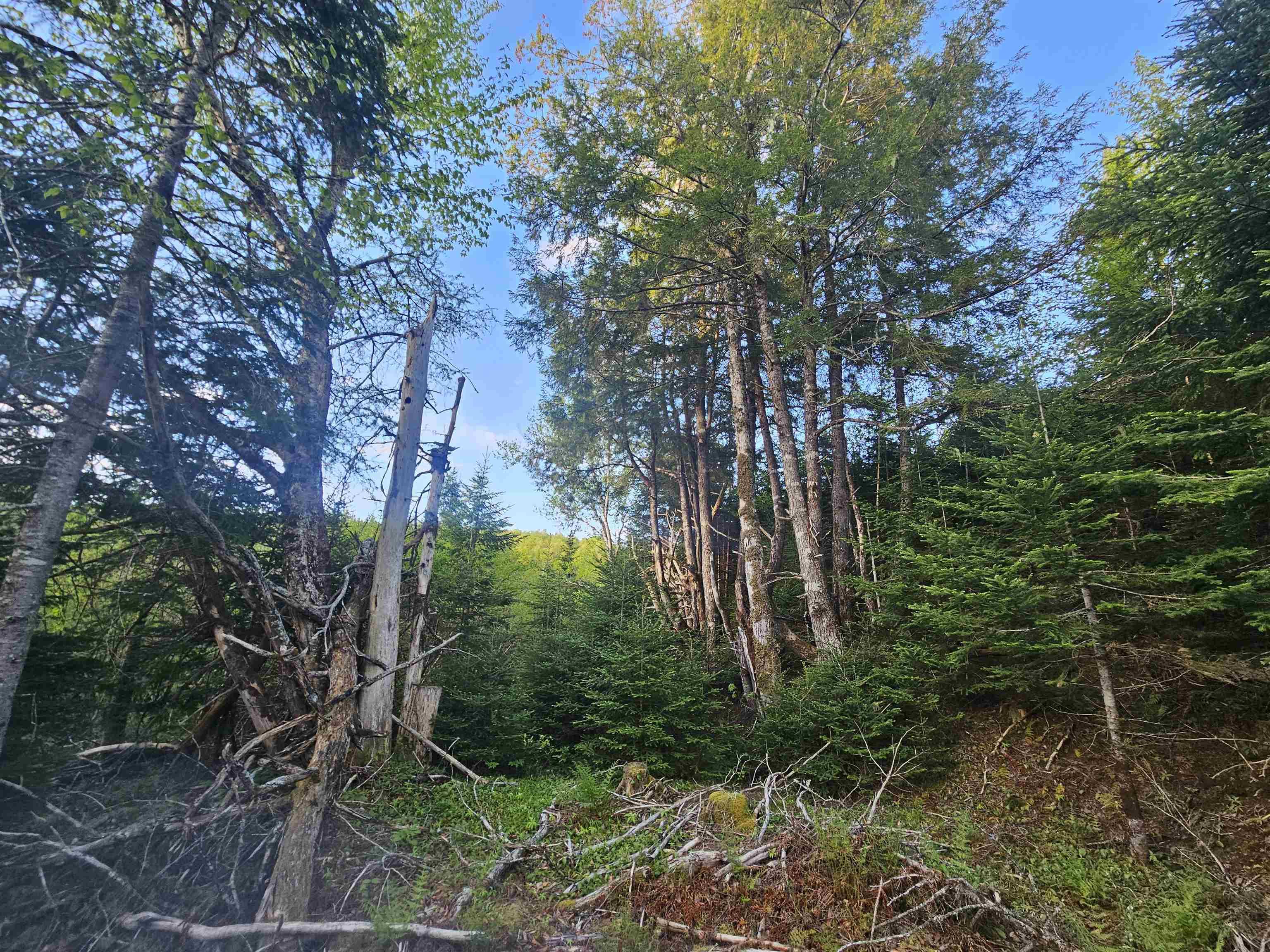 $35,000.00: Lot Highway 336, Dean