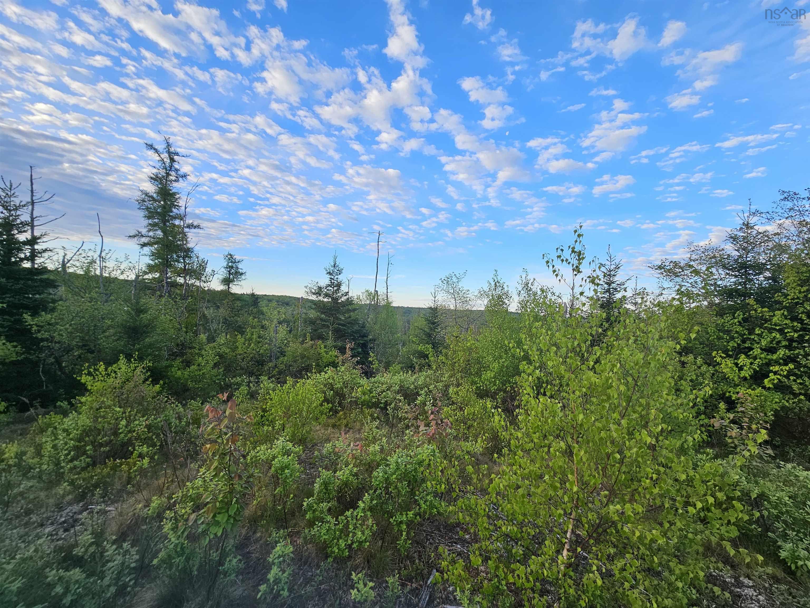 $35,000.00: Lot Highway 336 Highway, Dean