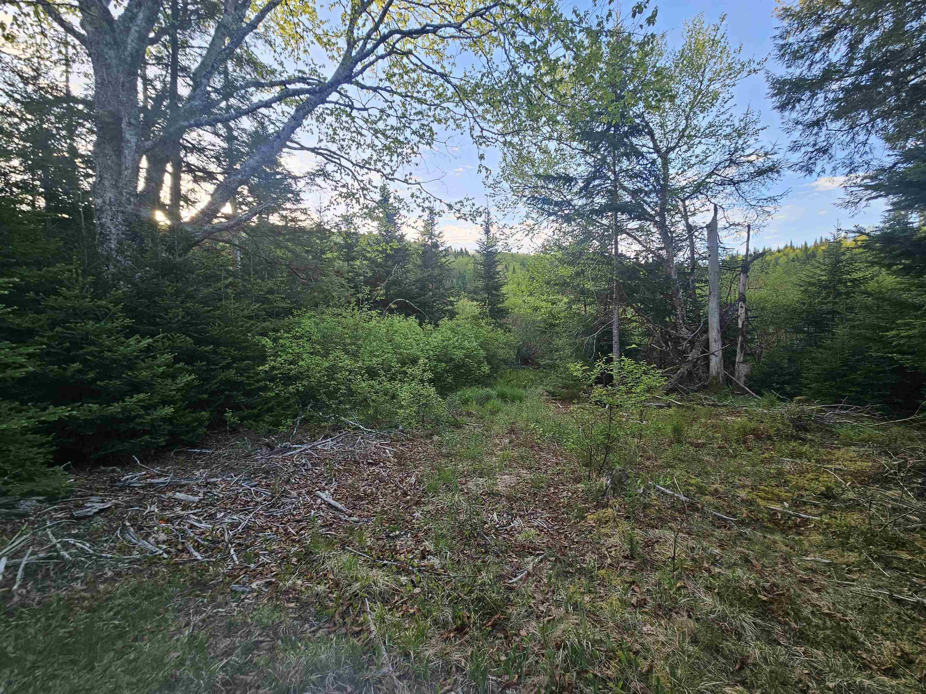 $35,000.00: Lot Highway 336 Highway, Dean
