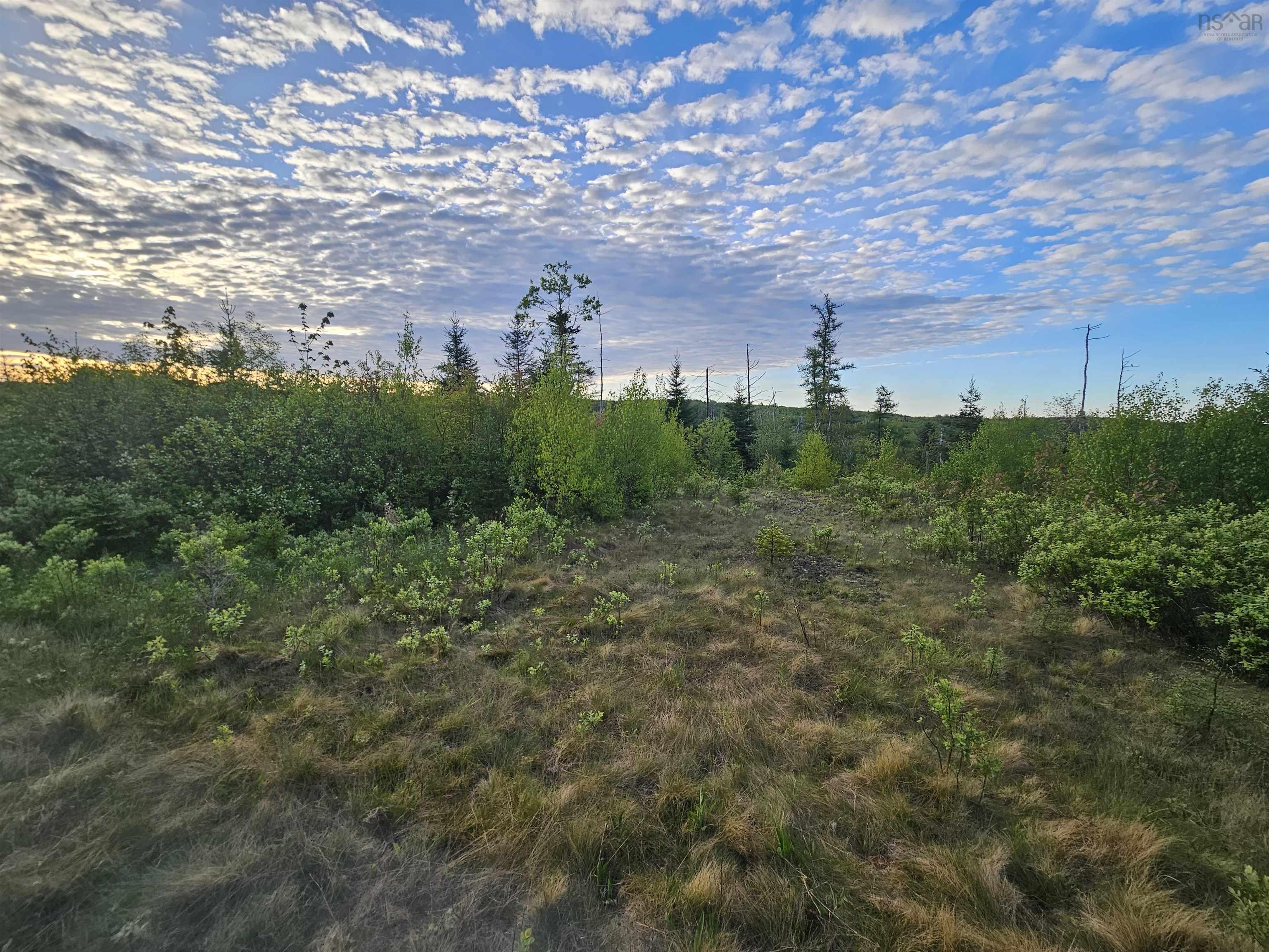 $35,000.00: Lot Highway 336 Highway, Dean