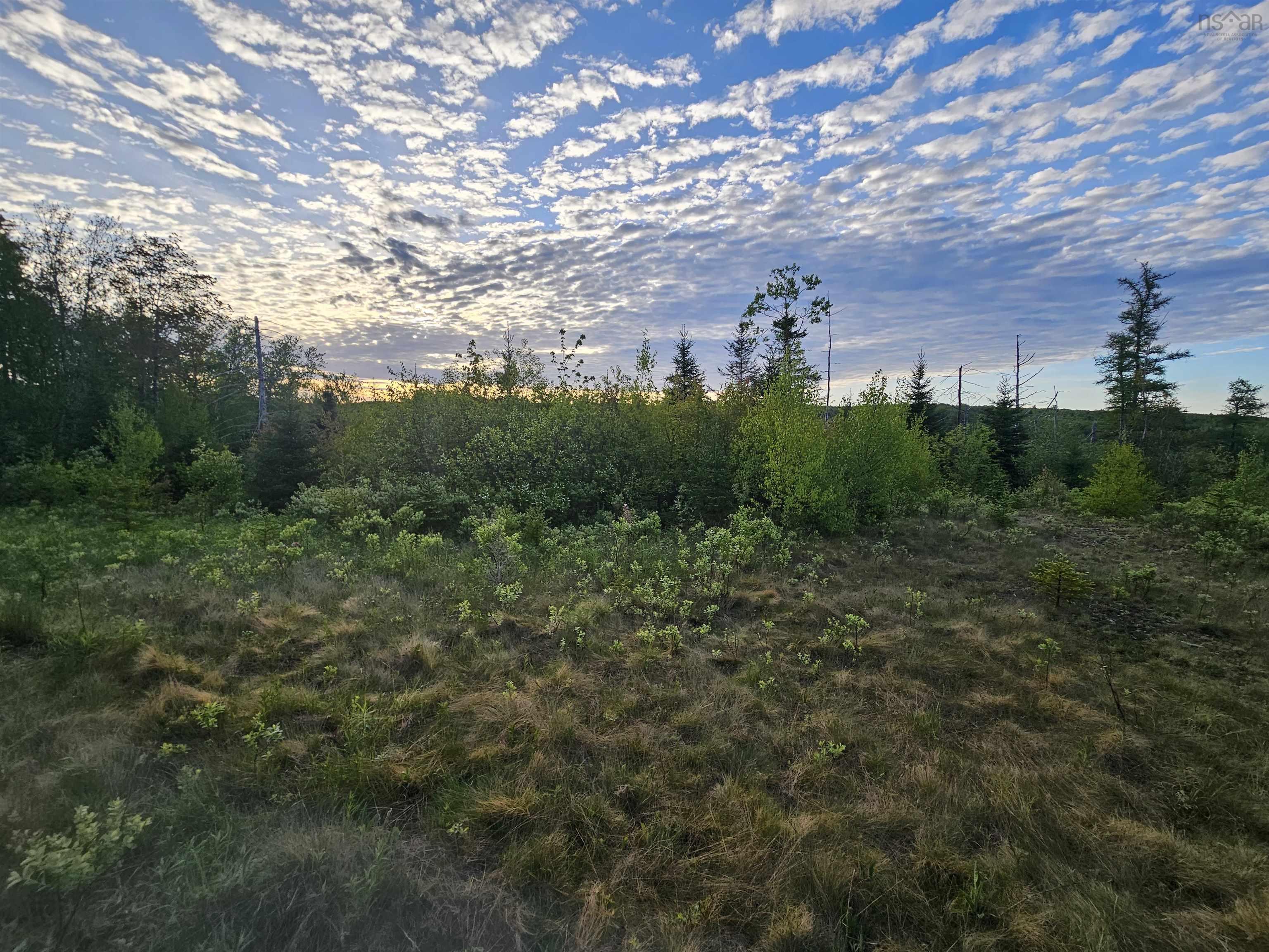 $35,000.00: Lot Highway 336 Highway, Dean