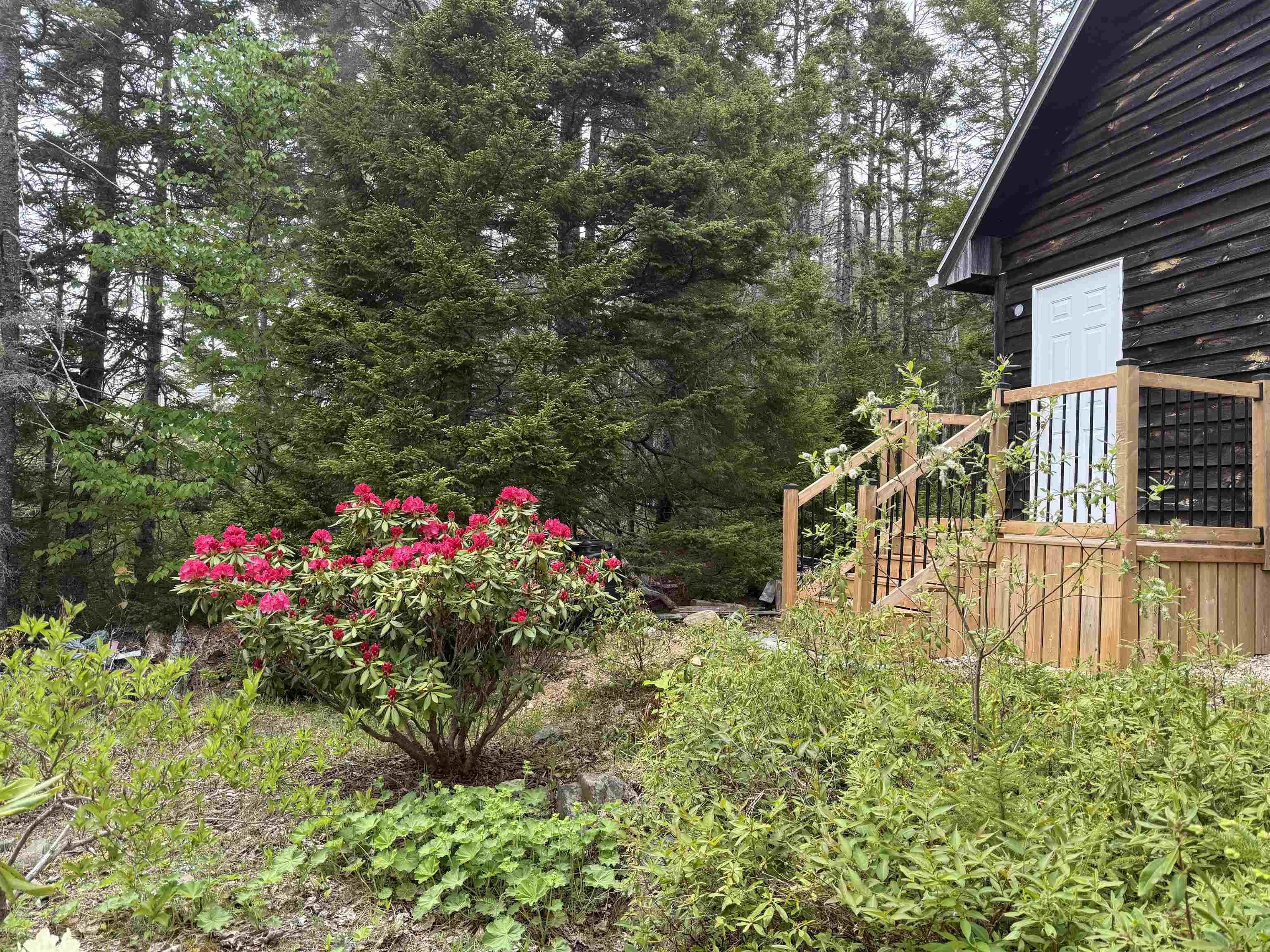 $295,000.00: 36 Saddle Island Road, Bayswater
