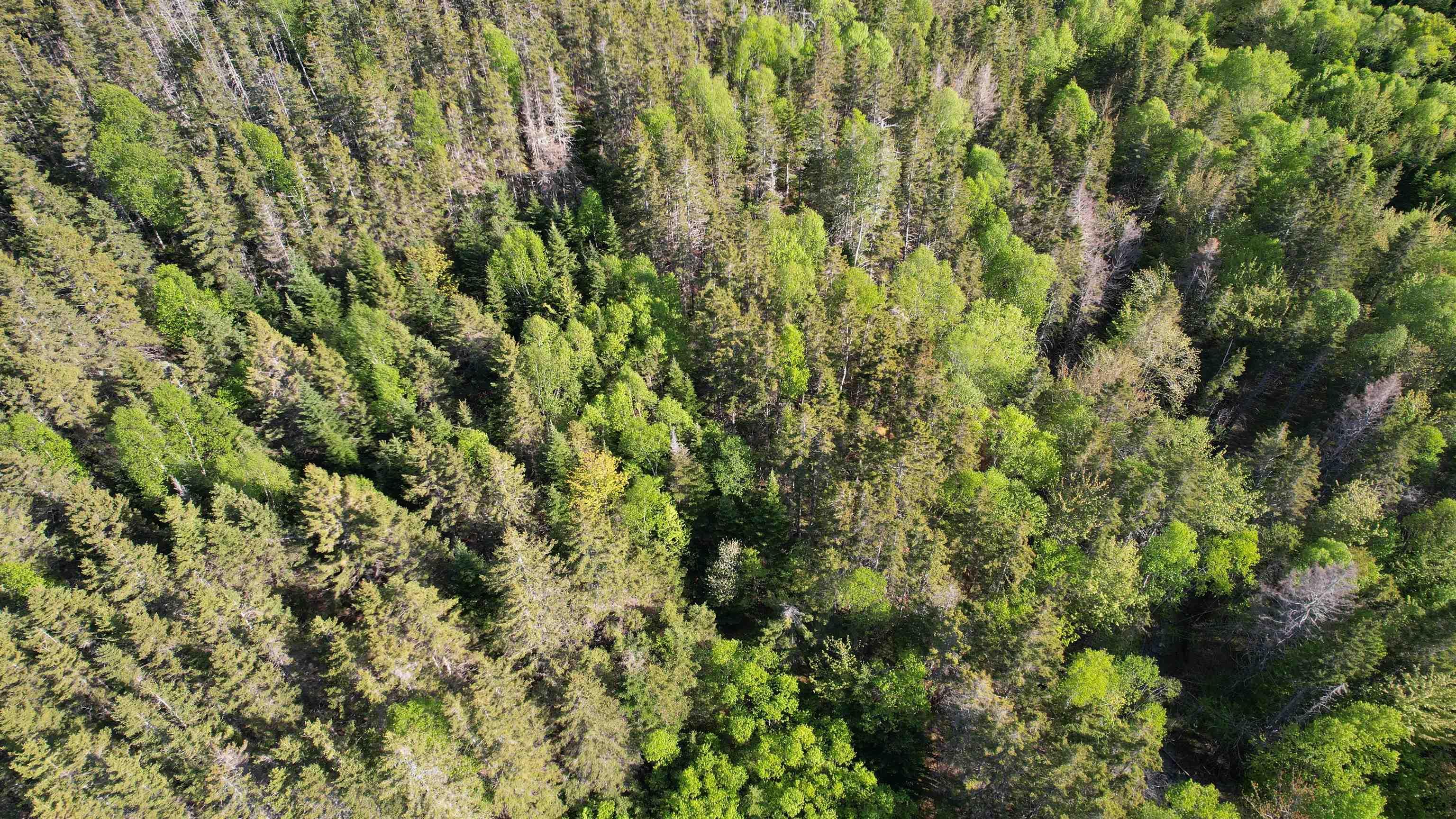$650,000.00: 7903 East Bay Highway, Big Pond Centre