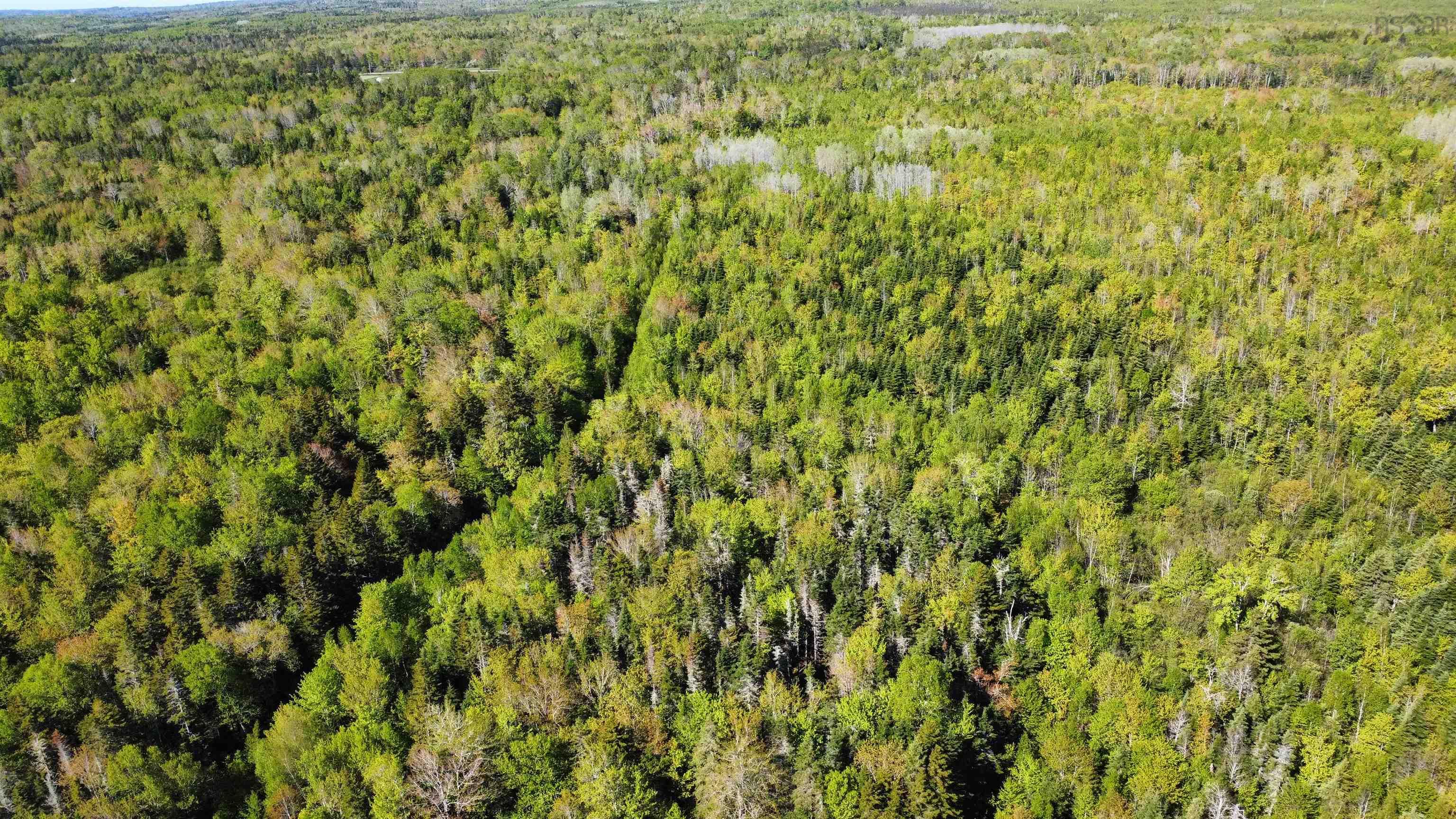 $94,000.00: Lot Highway 12 Highway, Blue Mountain
