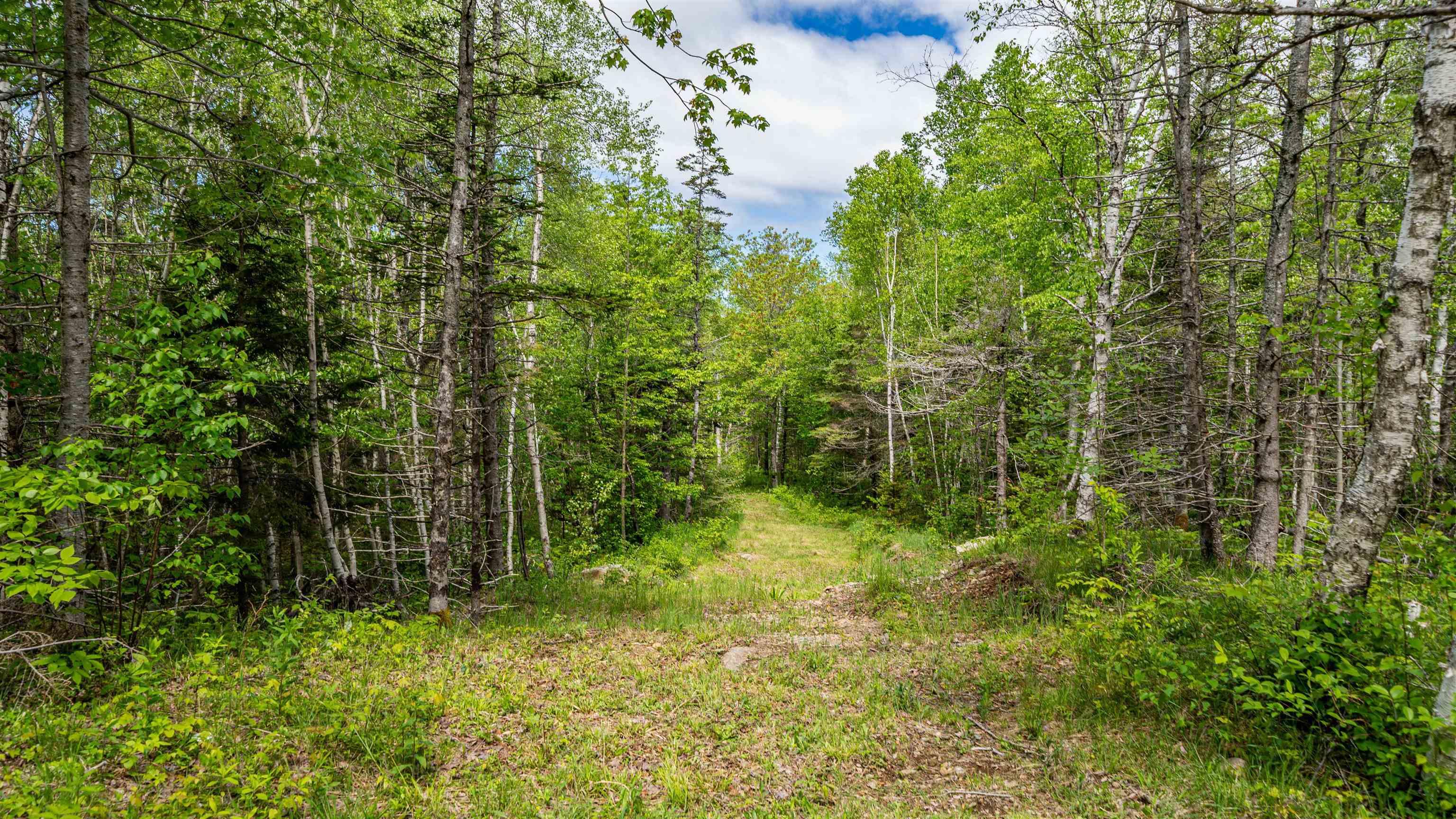$719,900.00: 95 FOREST GLADE Road, Forest Glade